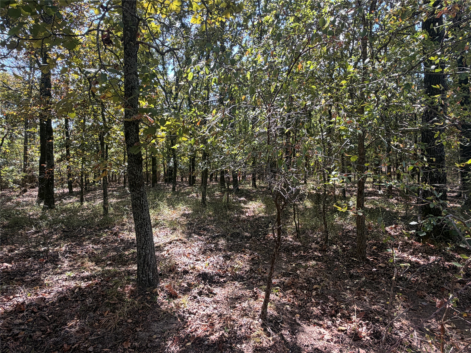 Davis Road Lane OK 74555
