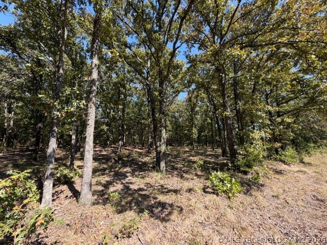 5 Brandy Lane Tishomingo OK 73460