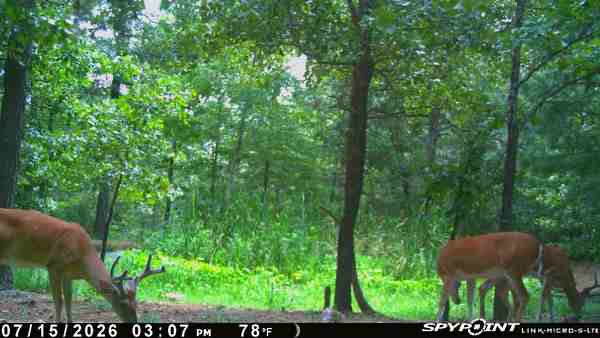 E 740 Road Stilwell OK 74960