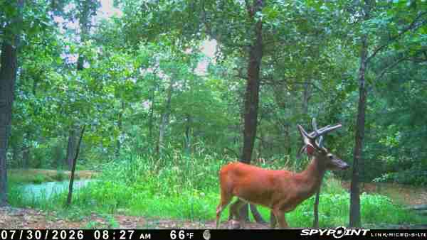 E 740 Road Stilwell OK 74960