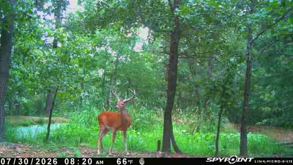 E 740 Road Stilwell OK 74960