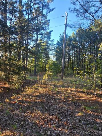 77 NE Little Flat Top Moyers OK 74523