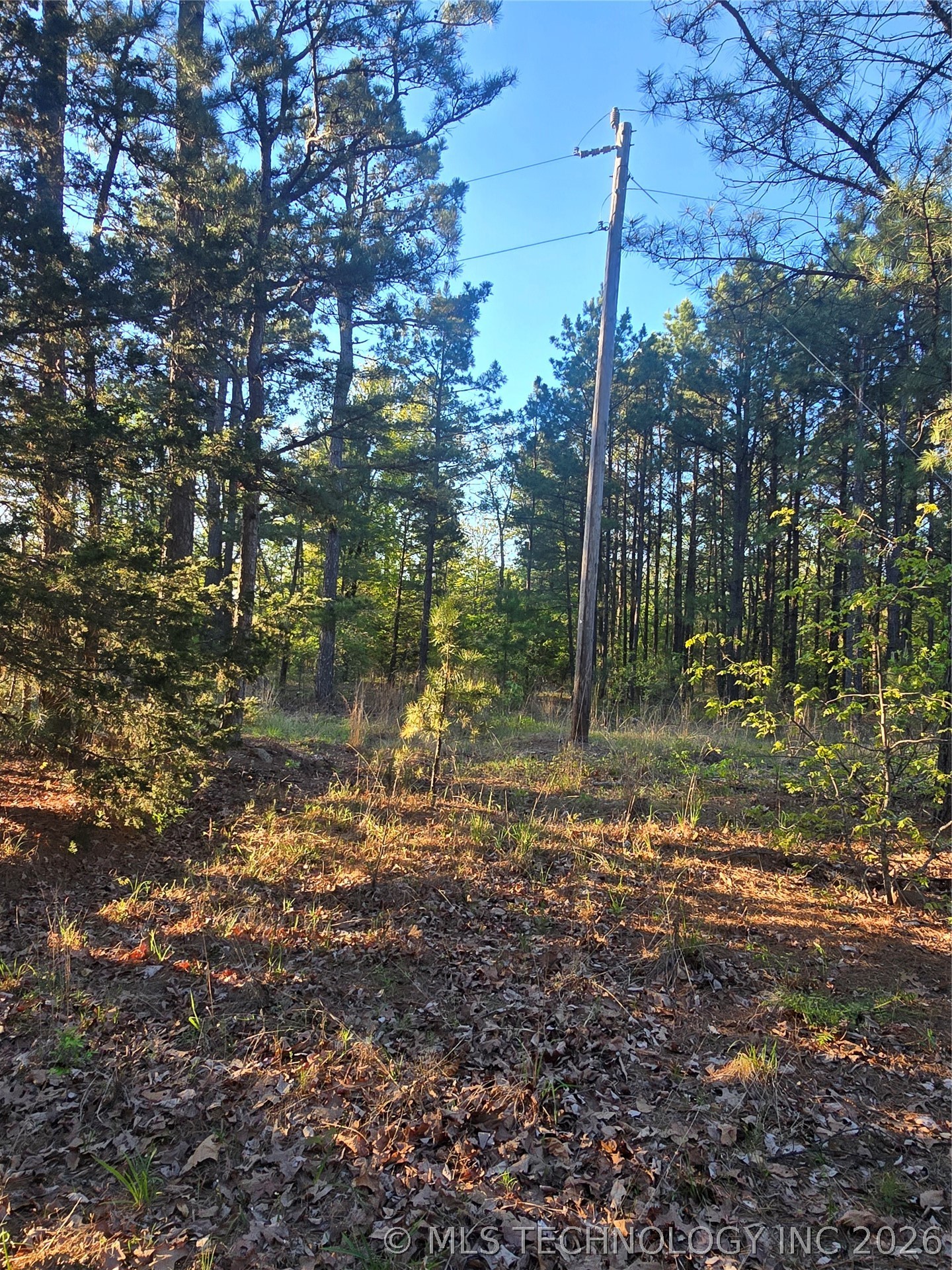 77 NE Little Flat Top Moyers OK 74523