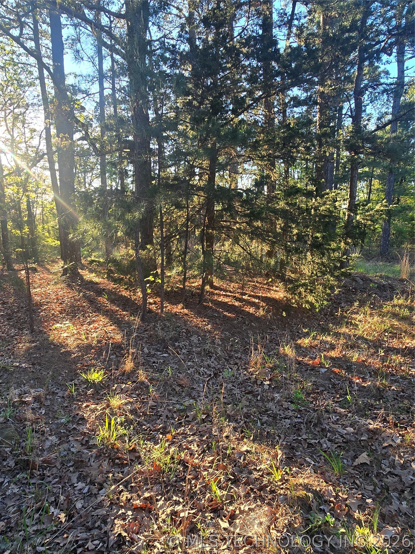 77 NE Little Flat Top Moyers OK 74523