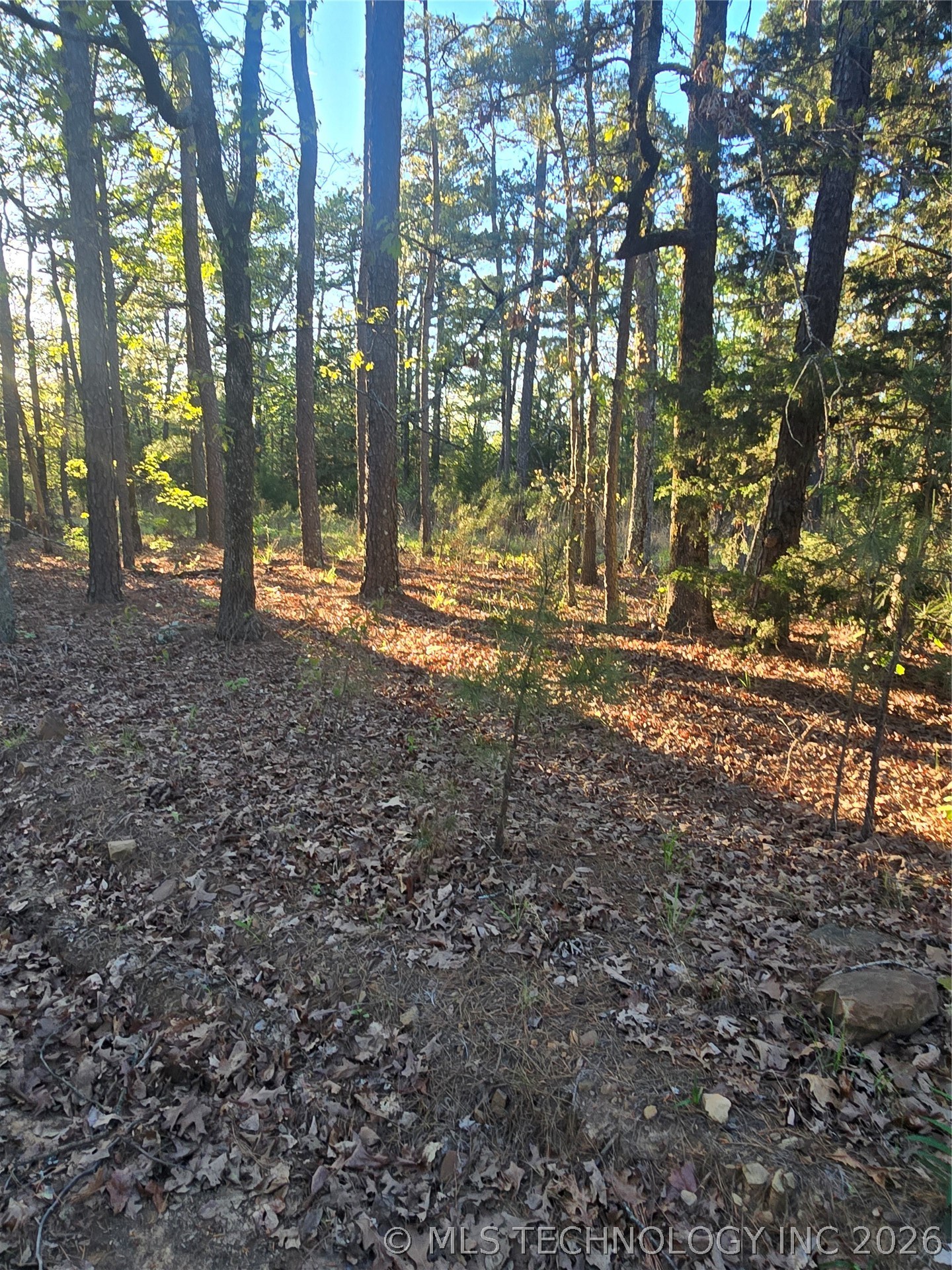 77 NE Little Flat Top Moyers OK 74523