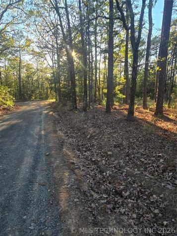77 NE Little Flat Top Moyers OK 74523
