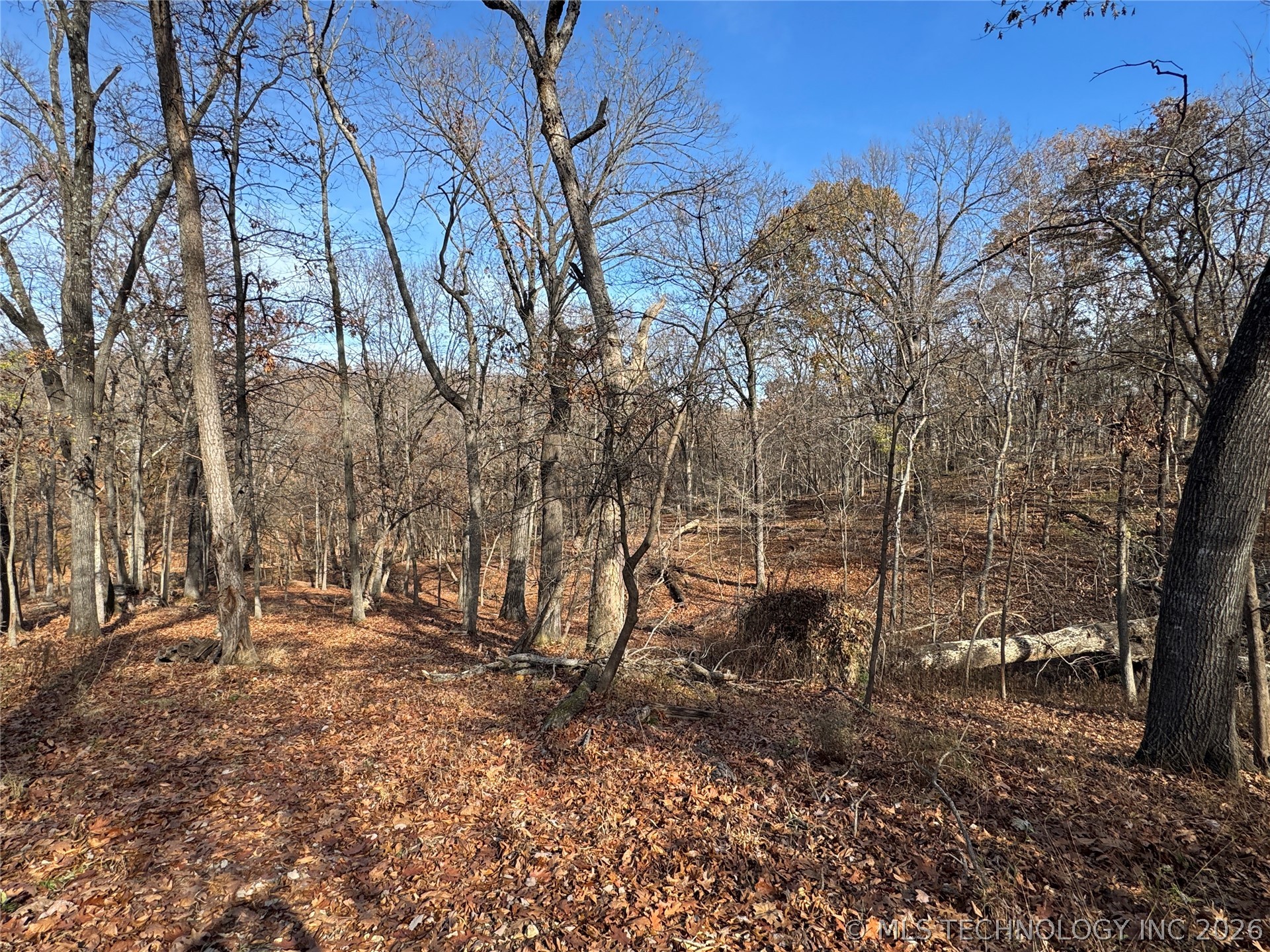451403 Pheasant Circle Afton OK 74331