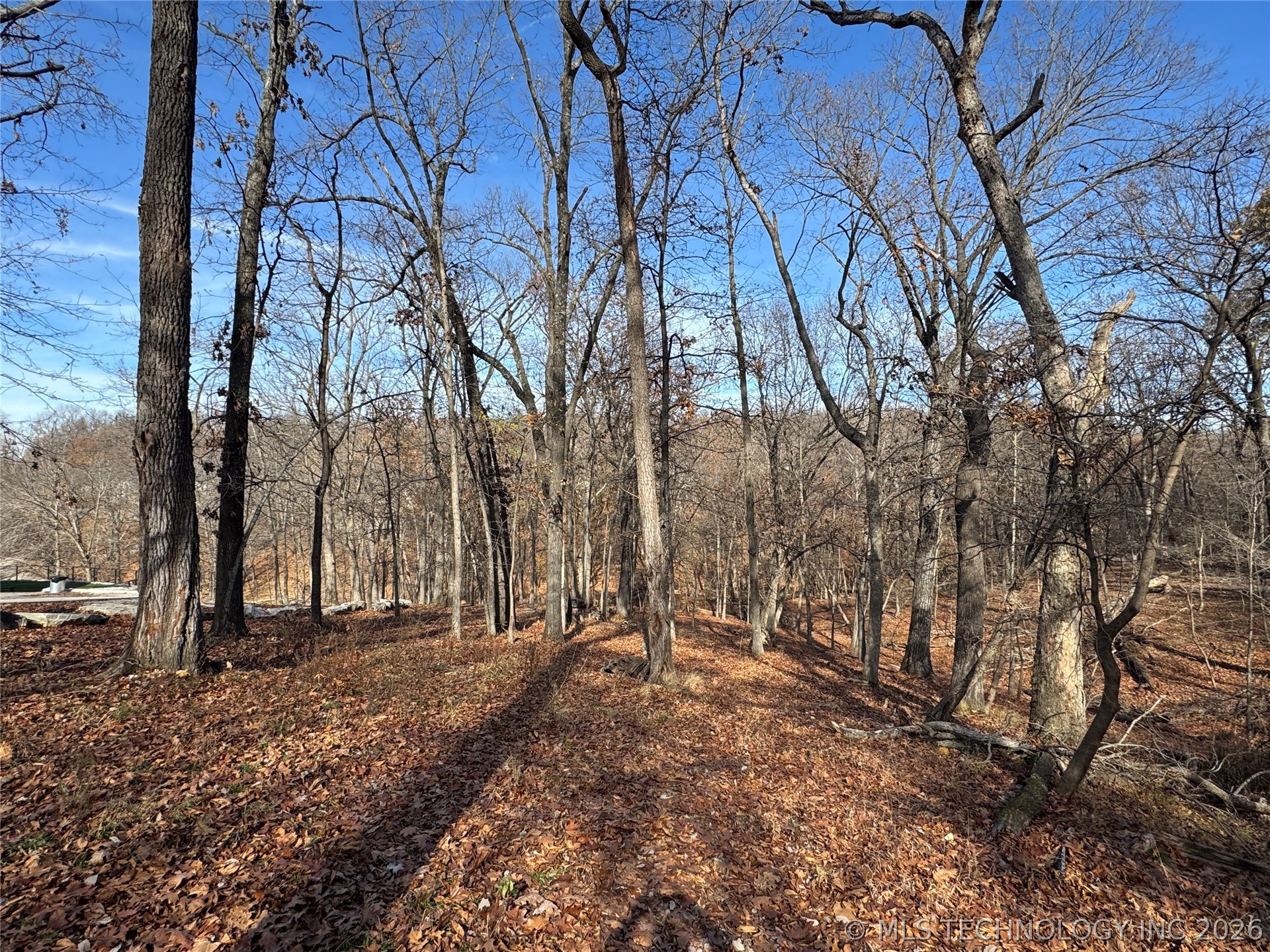 451403 Pheasant Circle Afton OK 74331