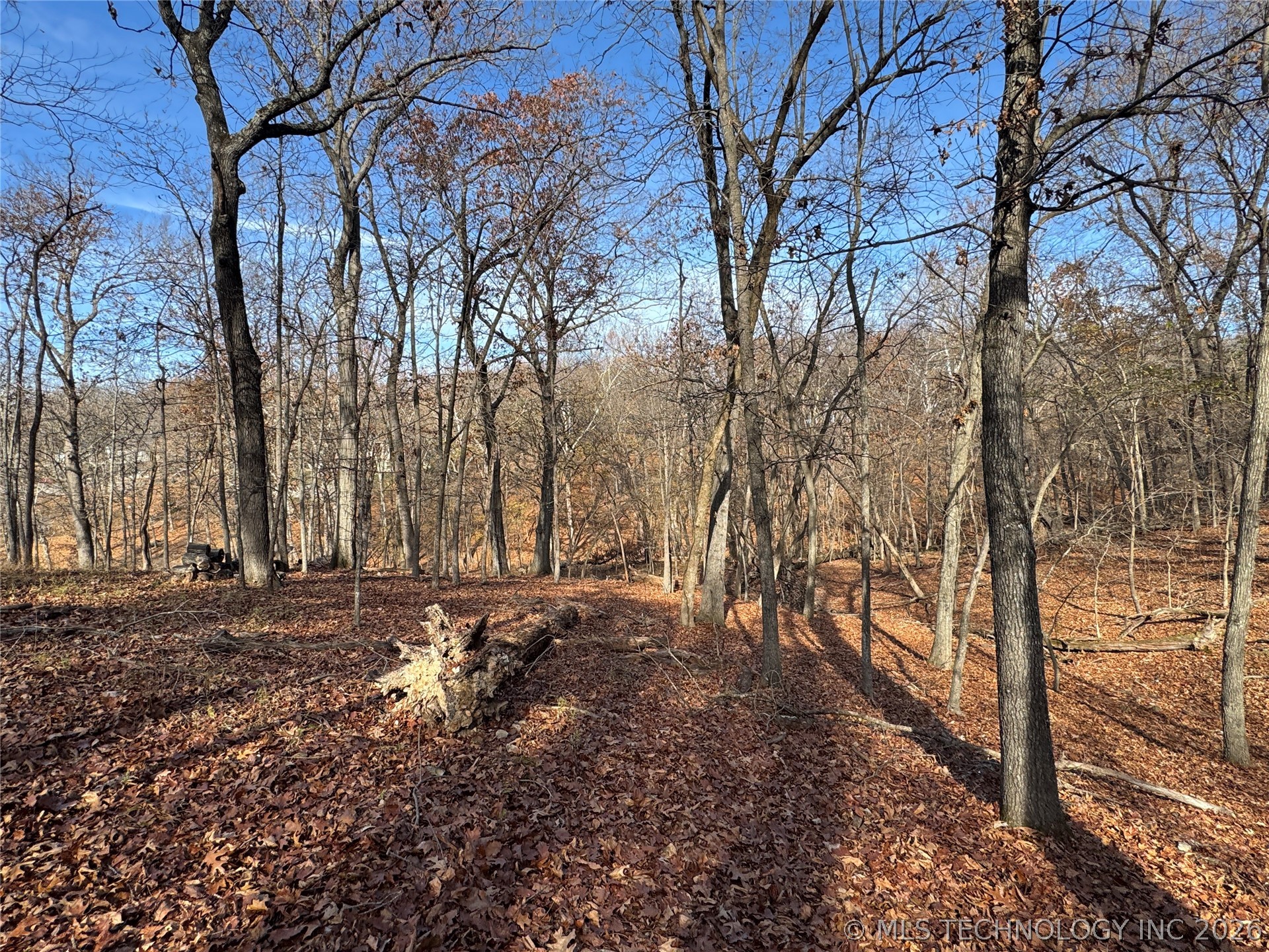 451403 Pheasant Circle Afton OK 74331