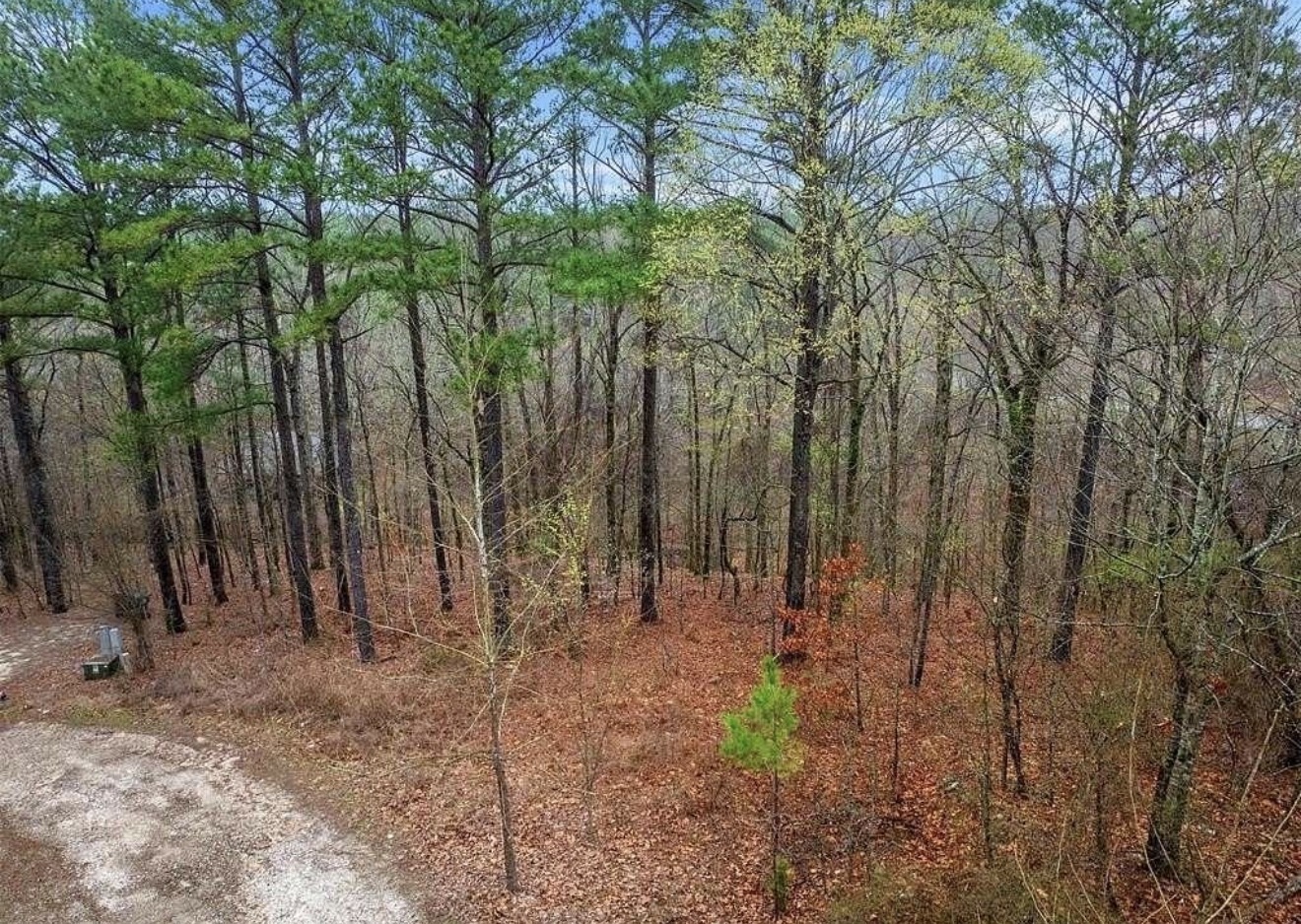 235 Hochapine Trail Broken Bow OK 74728