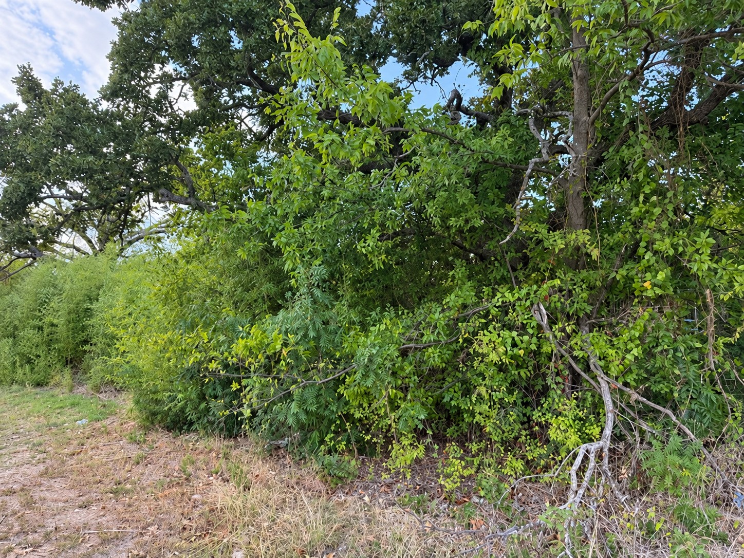 115 Melody Lone Grove OK 73443