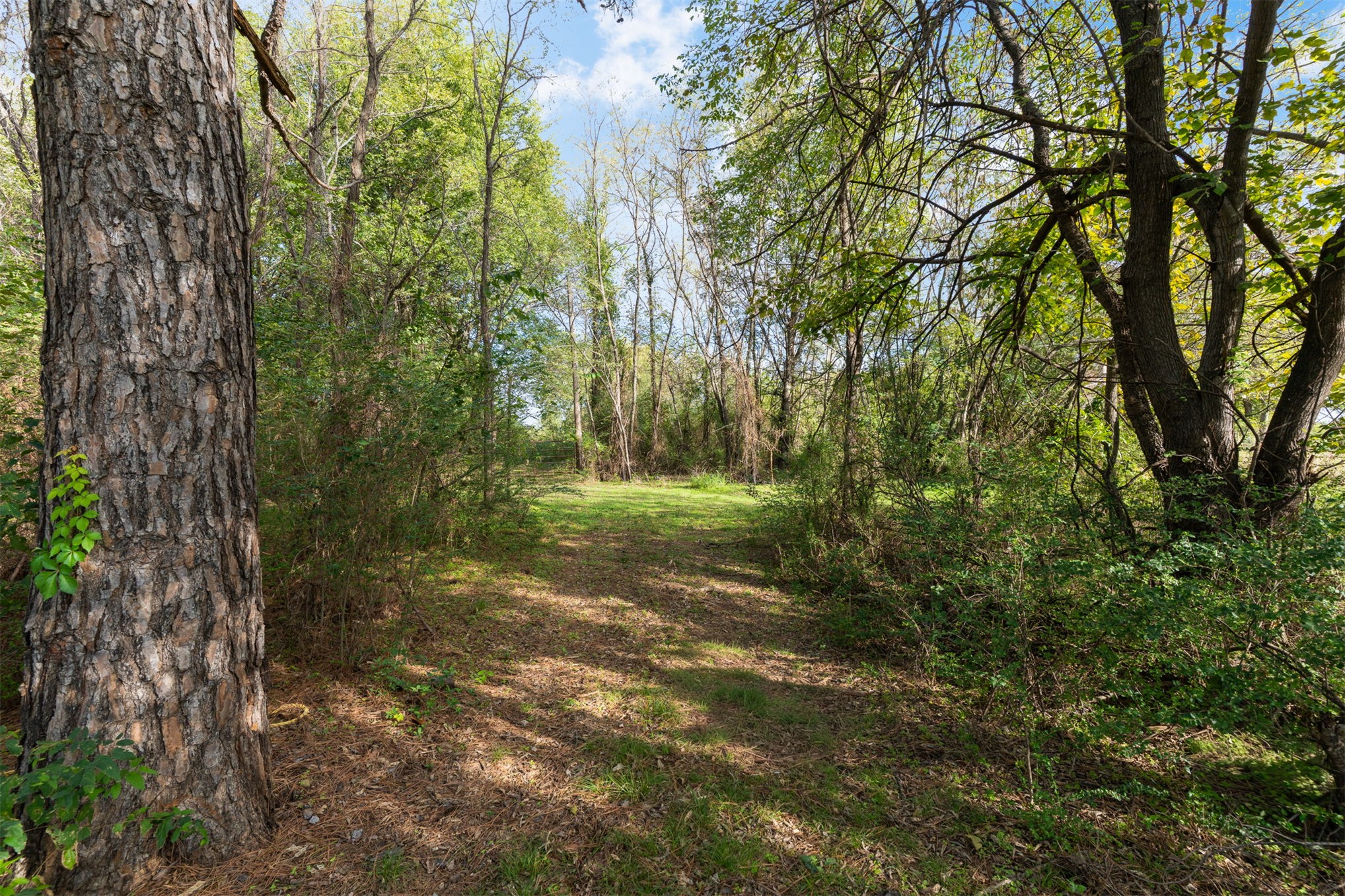441548 Highway 28 Highway Vinita OK 74301