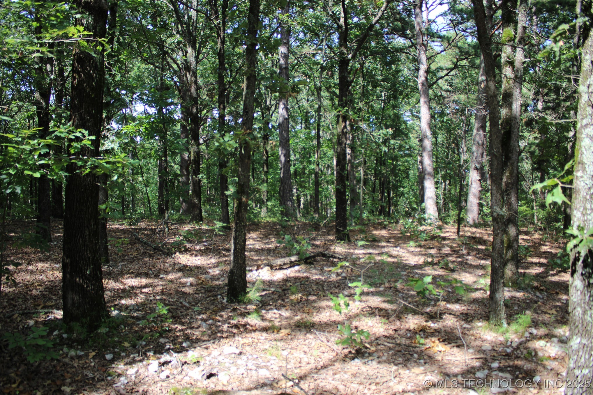 617 Highway 59 Jay OK 74346
