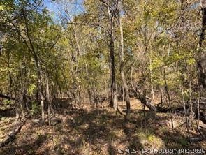 687 Road Locust Grove OK 74352