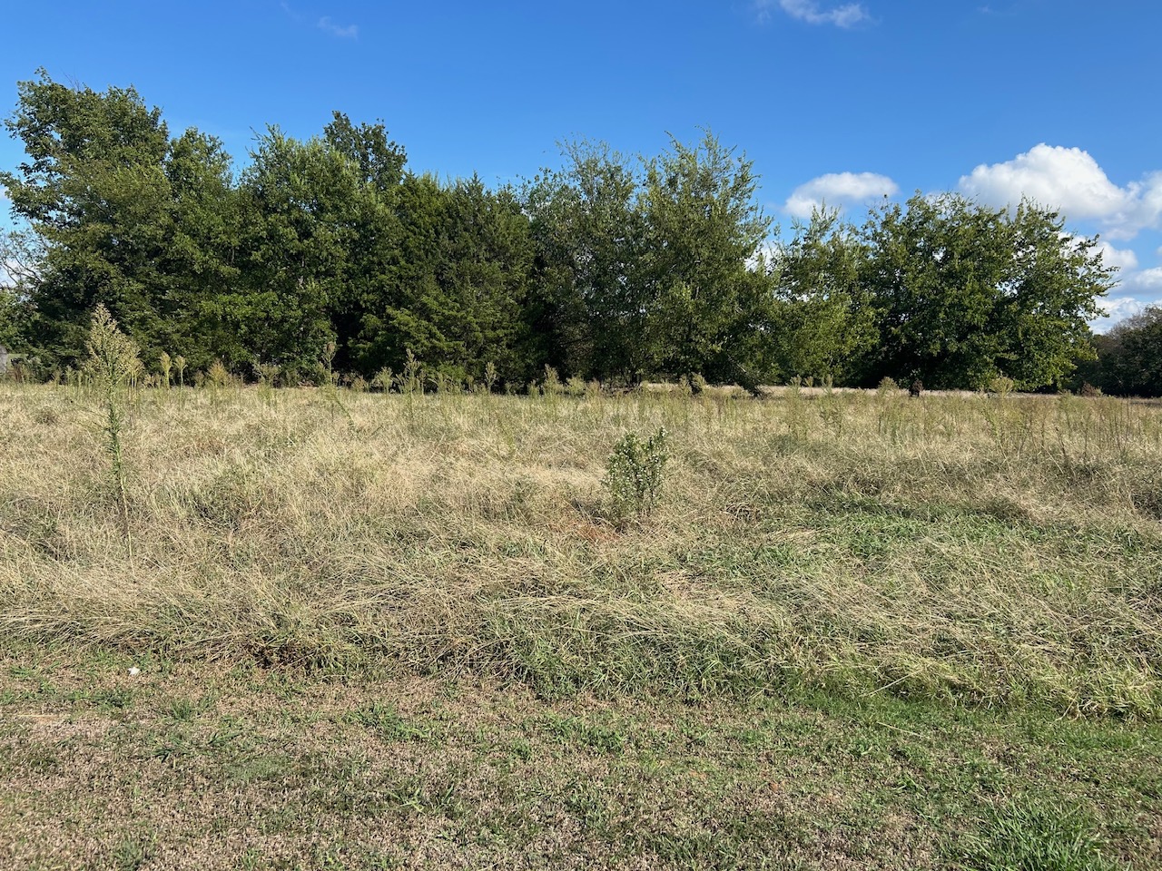 NW 11th Street S Wagoner OK 74467