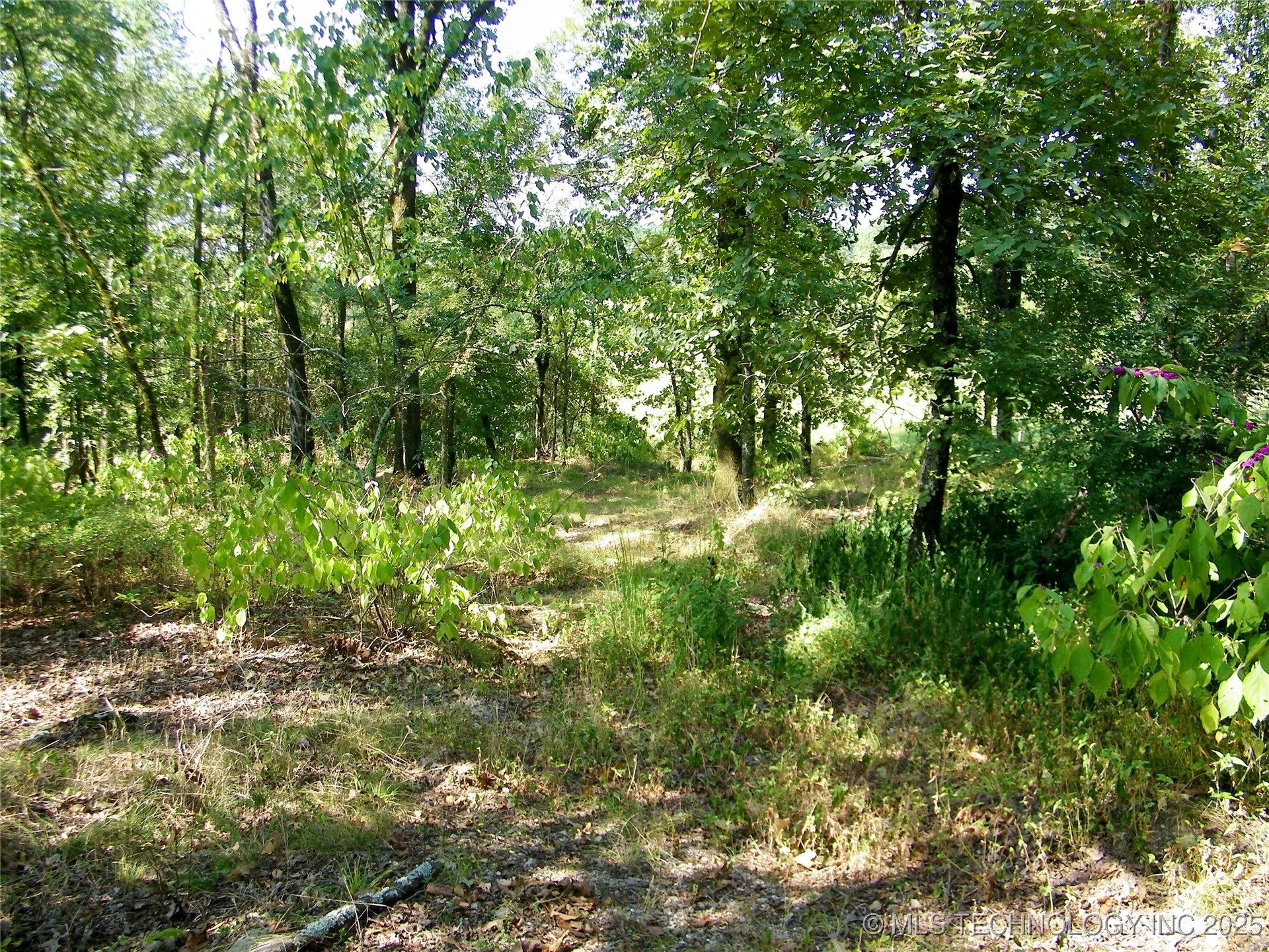 901 Sycamore Loop Broken Bow OK 74728