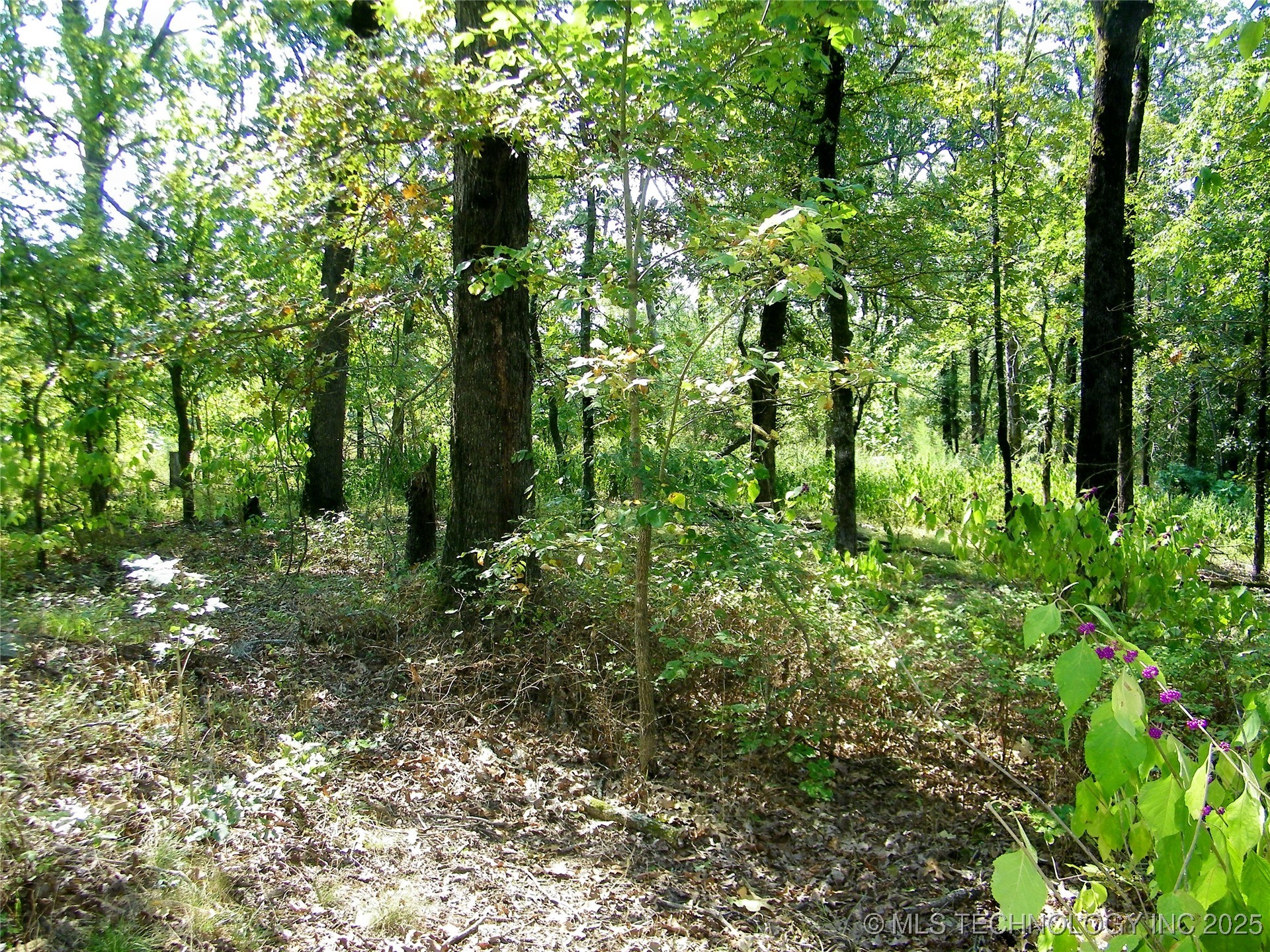 901 Sycamore Loop Broken Bow OK 74728