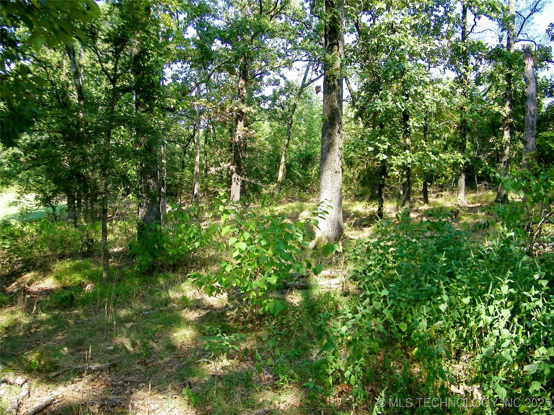 901 Sycamore Loop Broken Bow OK 74728