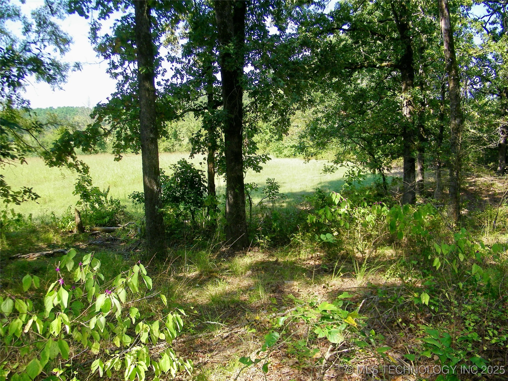 901 Sycamore Loop Broken Bow OK 74728