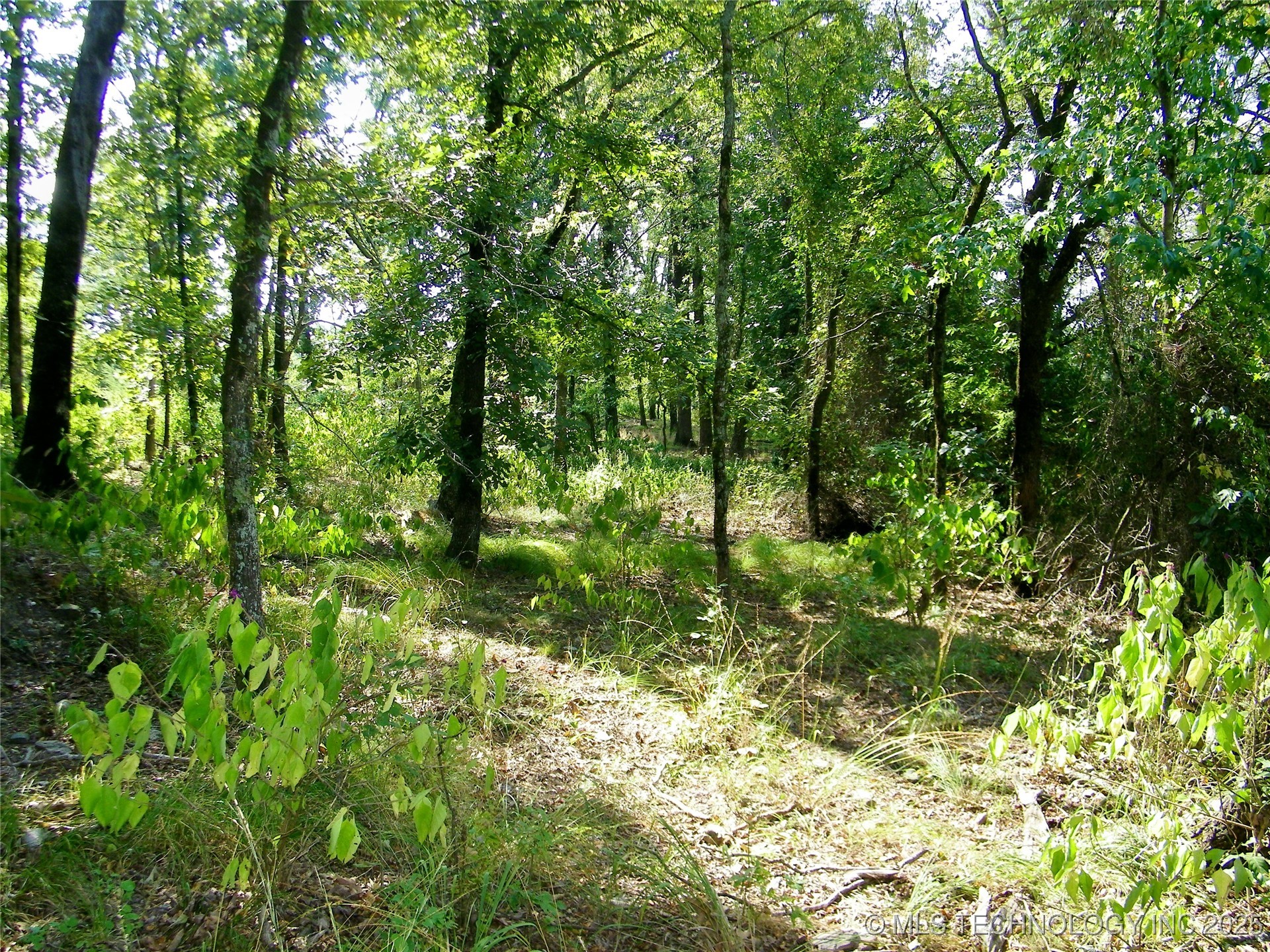 901 Sycamore Loop Broken Bow OK 74728
