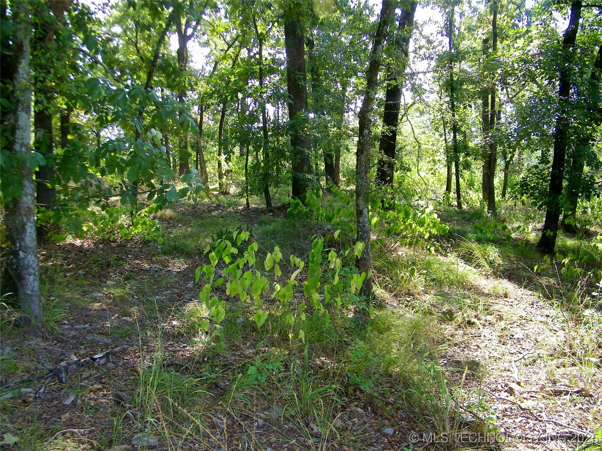 901 Sycamore Loop Broken Bow OK 74728