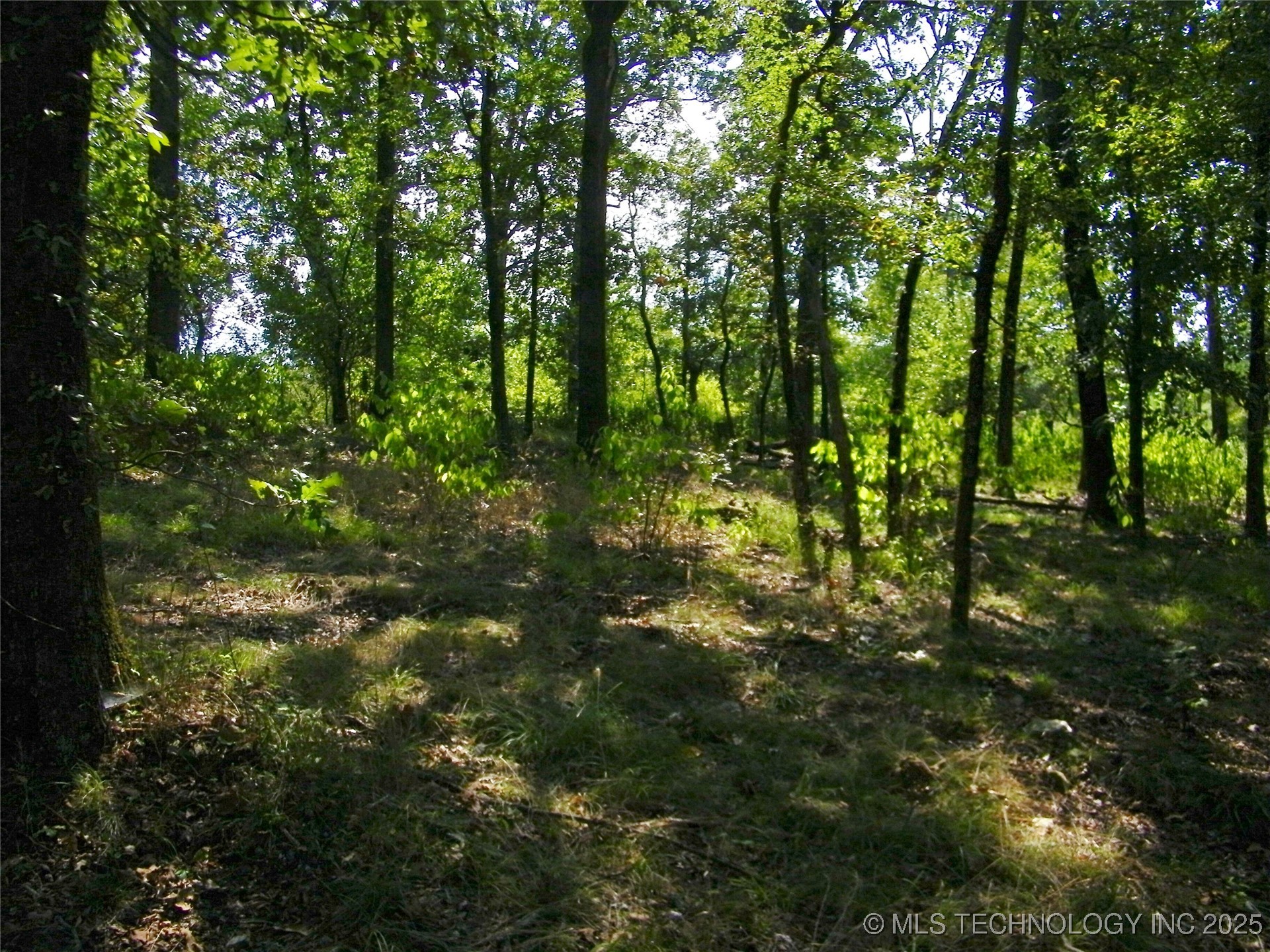 901 Sycamore Loop Broken Bow OK 74728