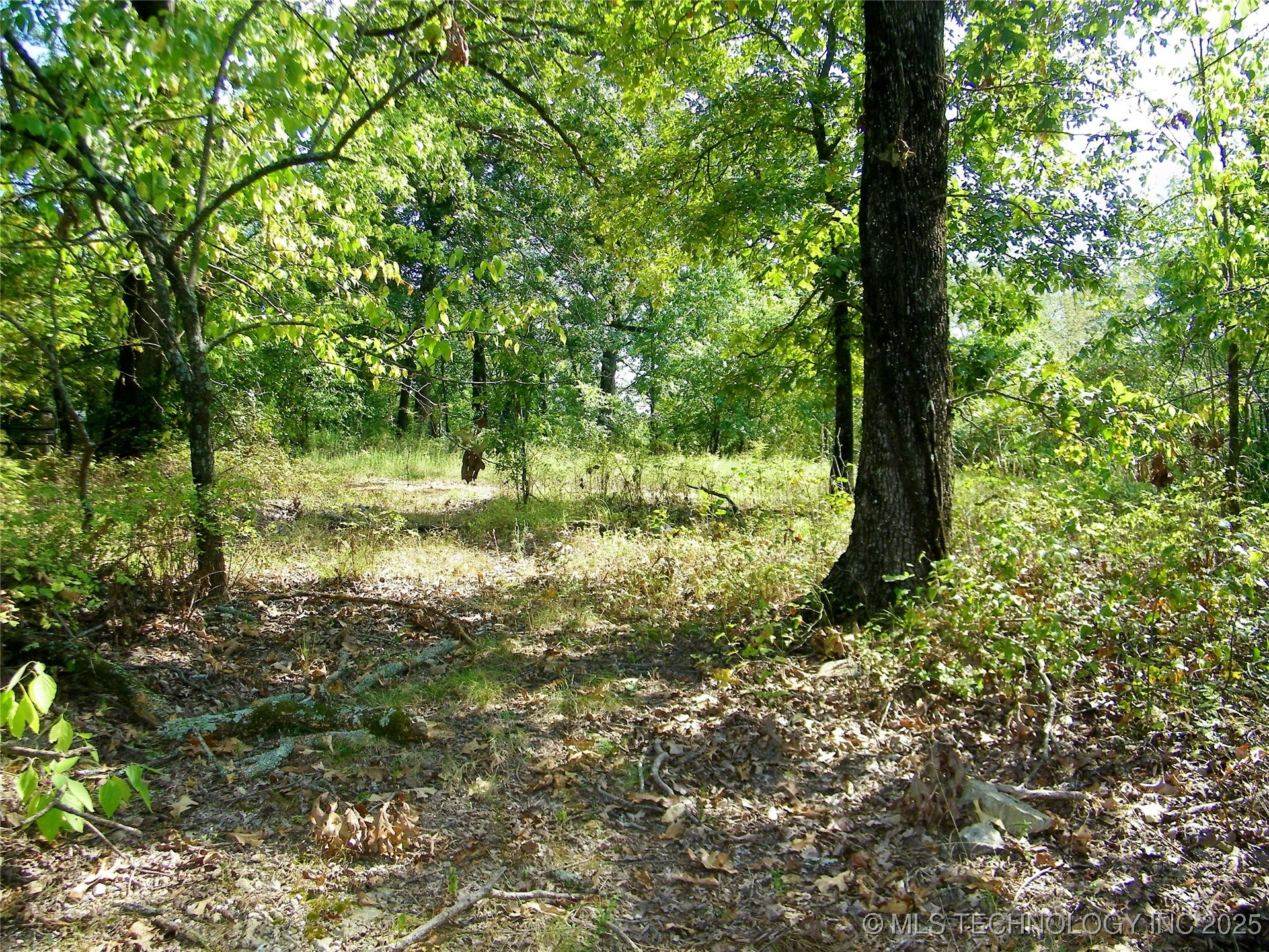 901 Sycamore Loop Broken Bow OK 74728