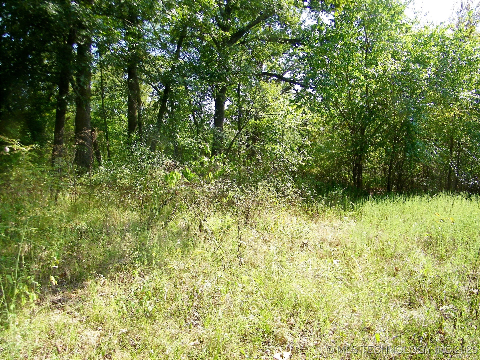 901 Sycamore Loop Broken Bow OK 74728