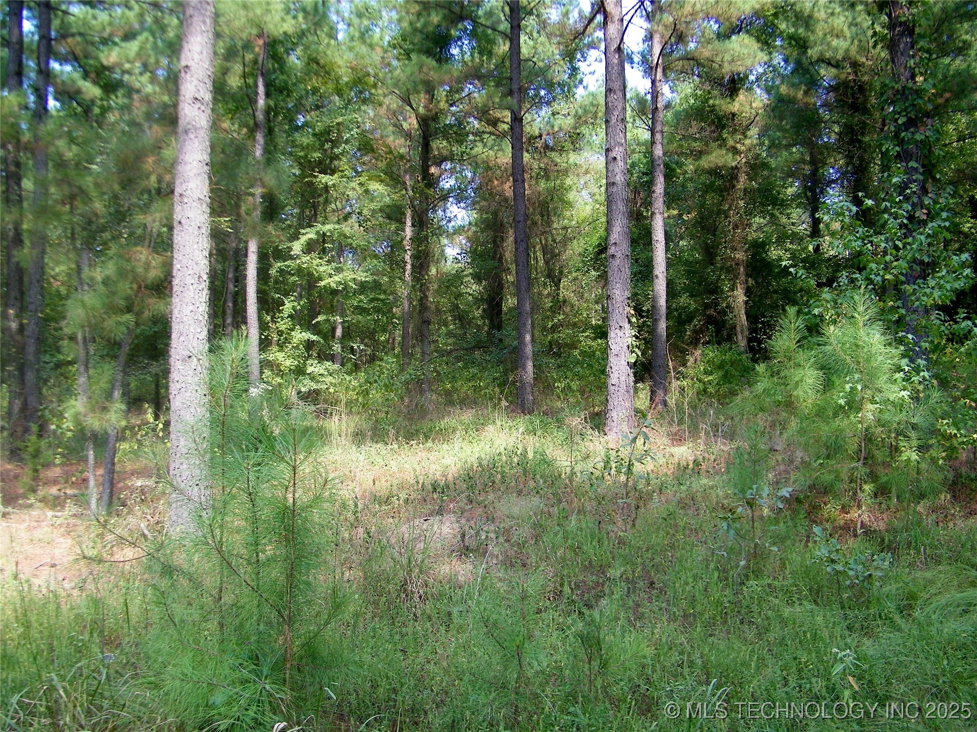 901 Sycamore Loop Broken Bow OK 74728