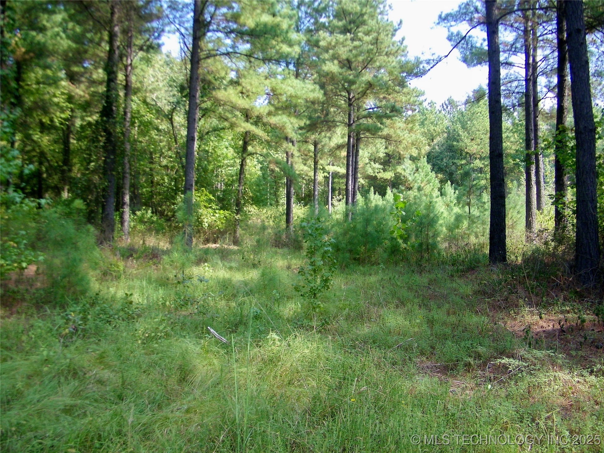 901 Sycamore Loop Broken Bow OK 74728
