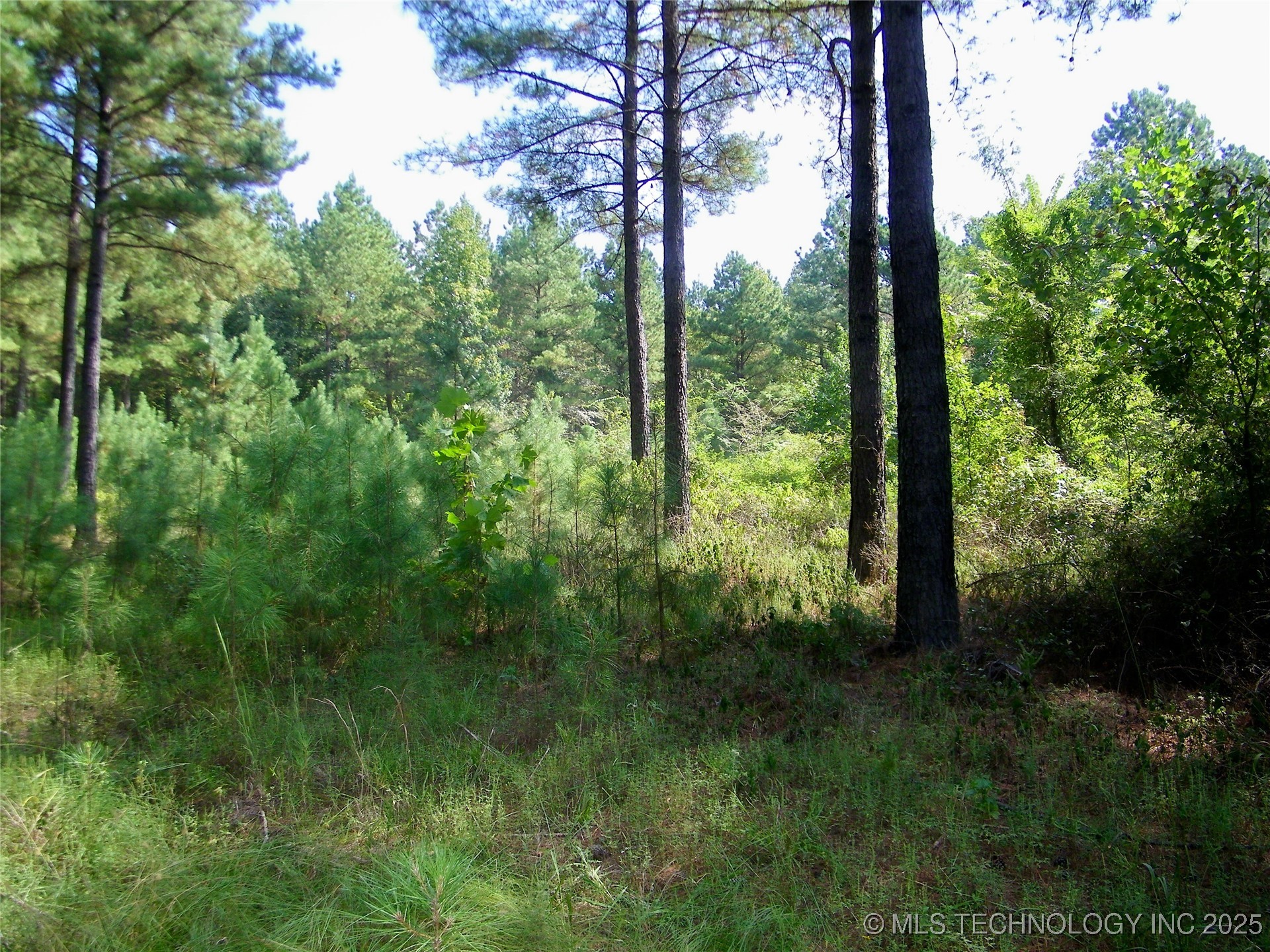 901 Sycamore Loop Broken Bow OK 74728