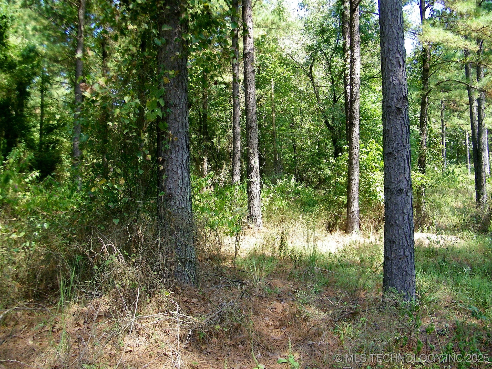 901 Sycamore Loop Broken Bow OK 74728