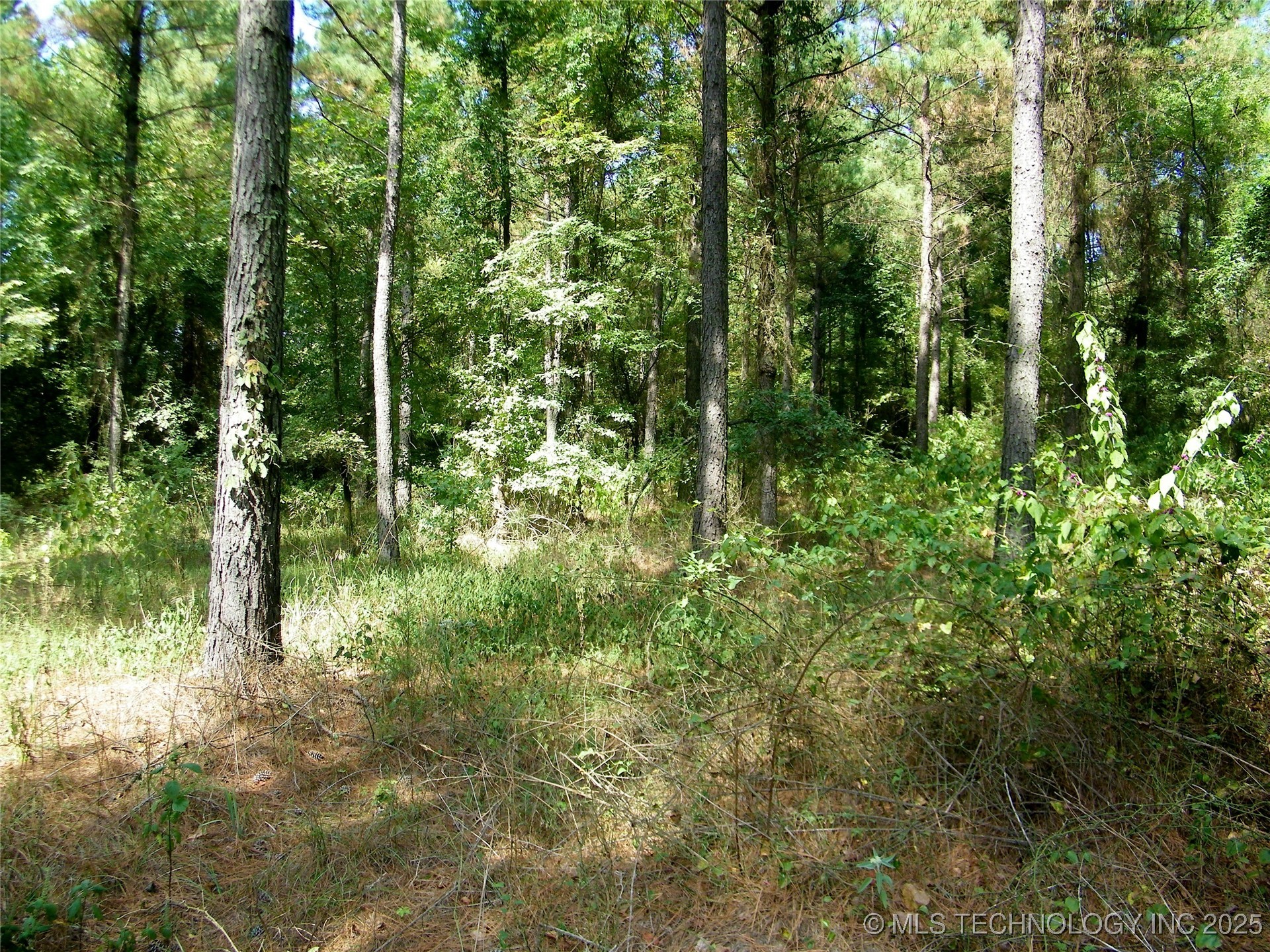 901 Sycamore Loop Broken Bow OK 74728