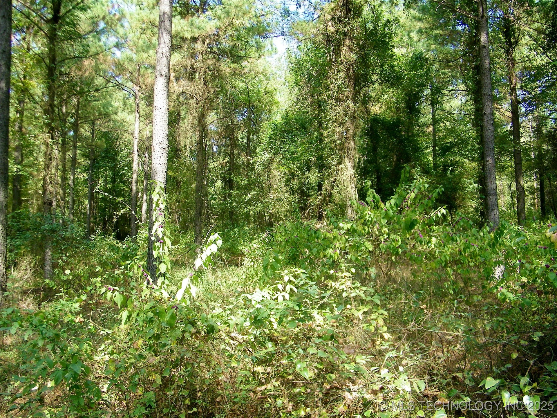 901 Sycamore Loop Broken Bow OK 74728