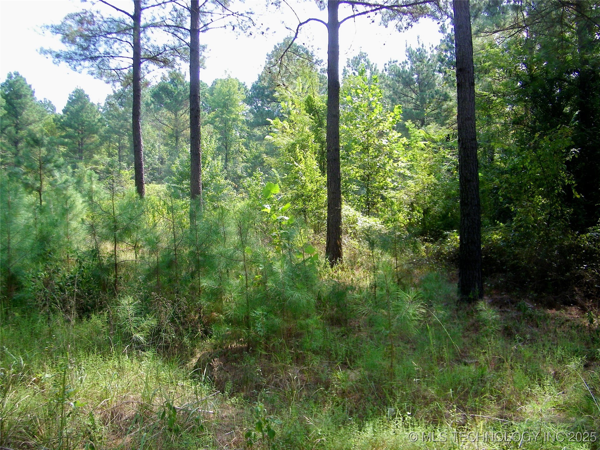 901 Sycamore Loop Broken Bow OK 74728