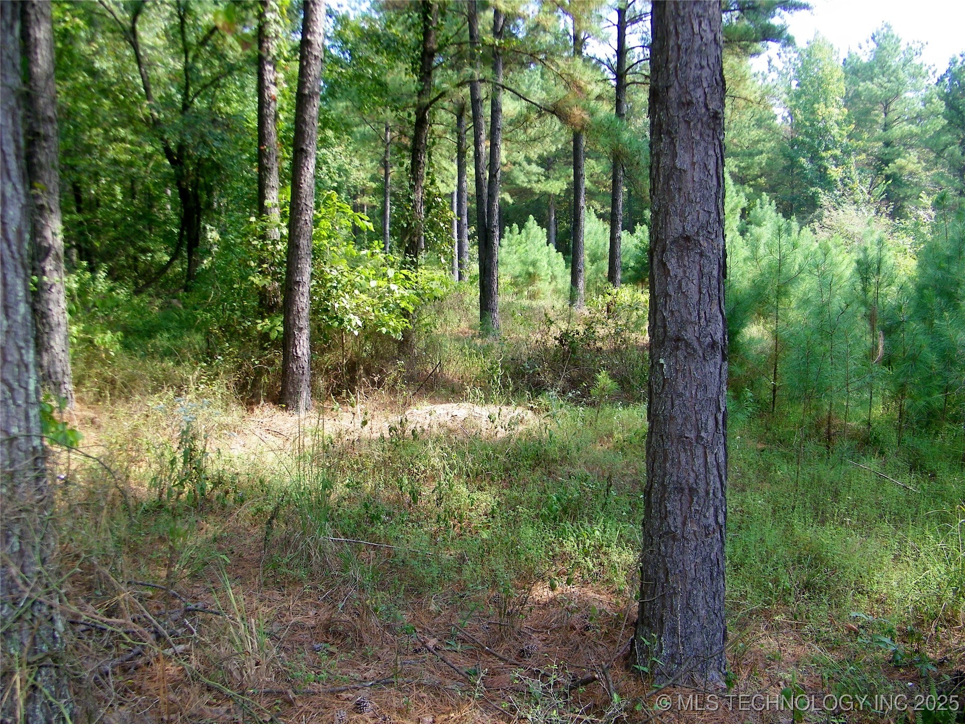 901 Sycamore Loop Broken Bow OK 74728