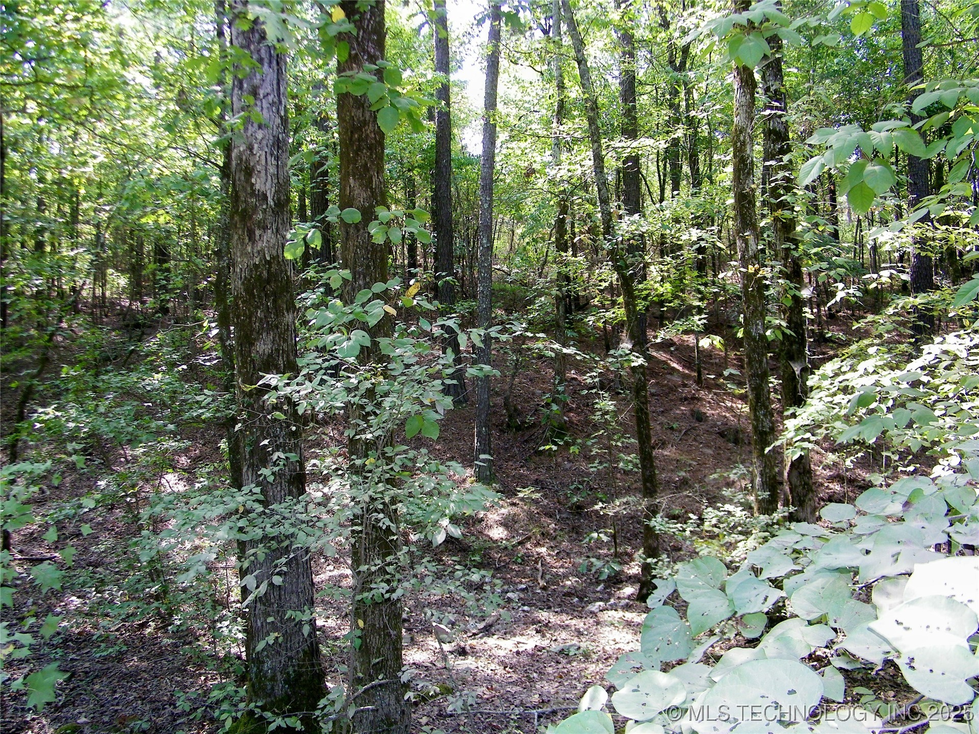901 Sycamore Loop Broken Bow OK 74728