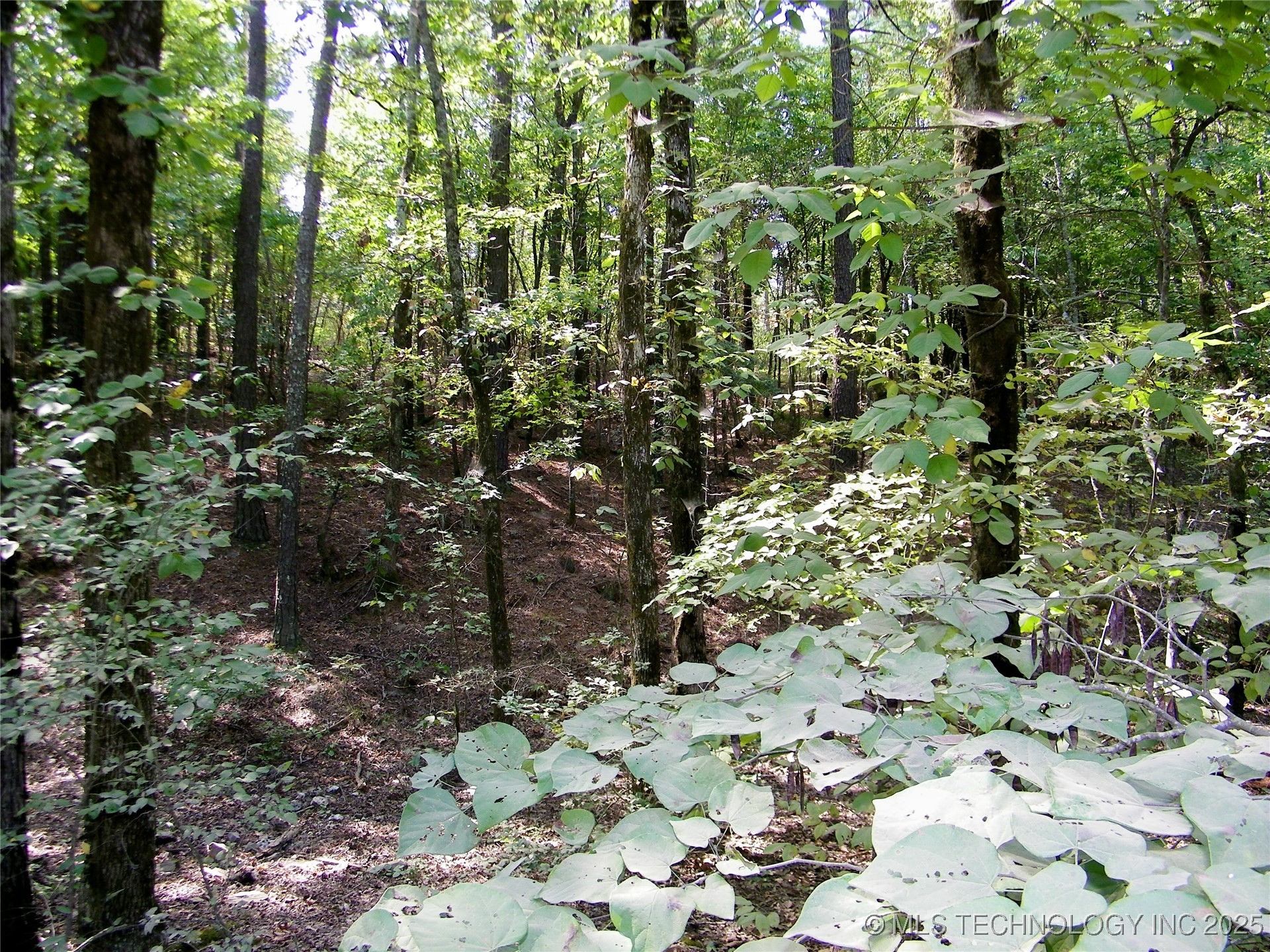 901 Sycamore Loop Broken Bow OK 74728