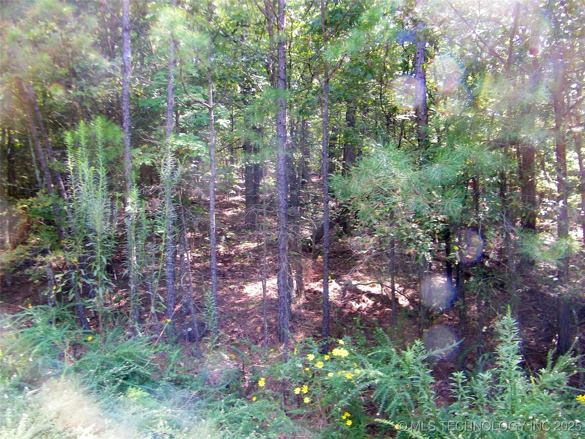901 Sycamore Loop Broken Bow OK 74728