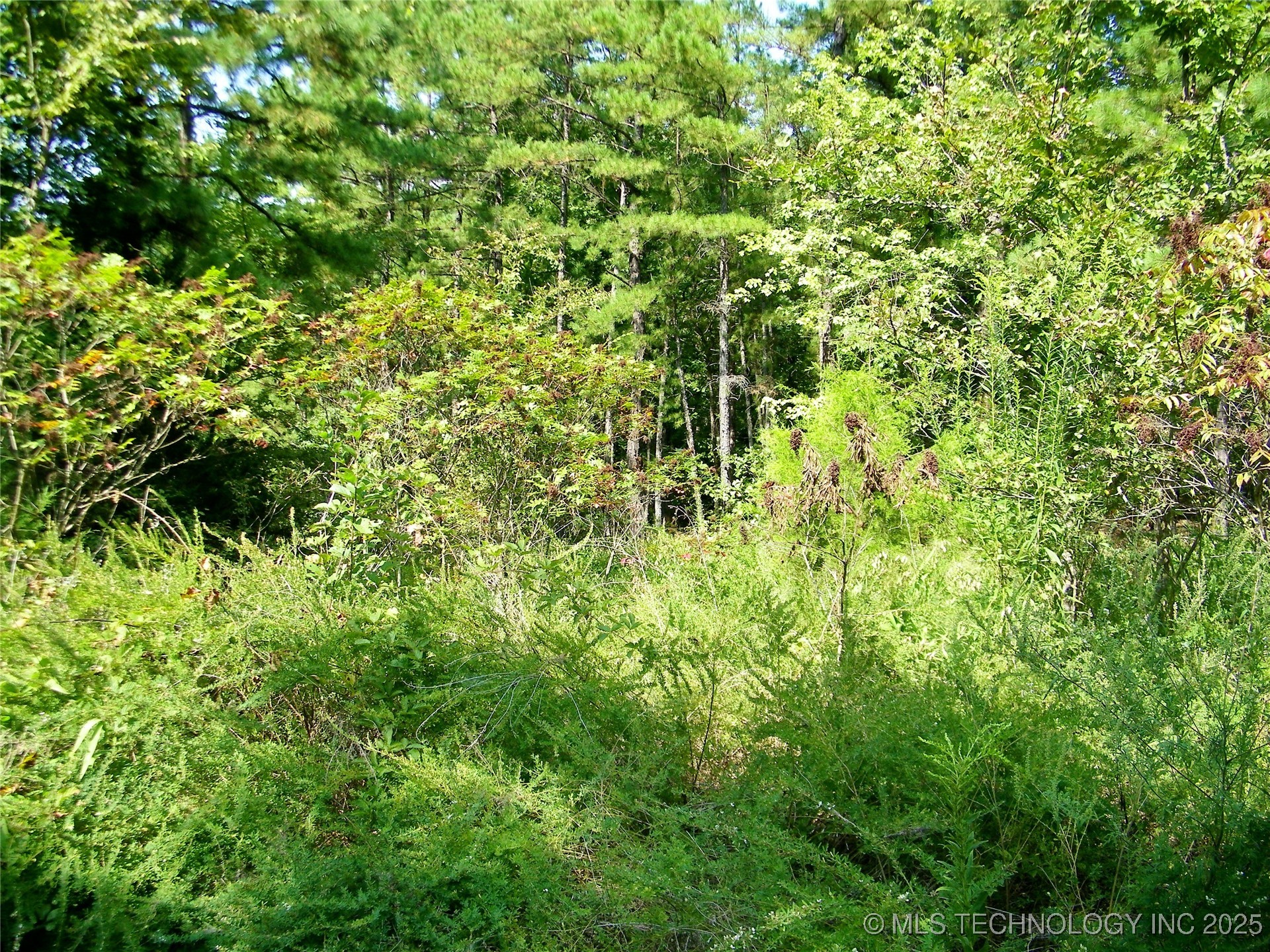 901 Sycamore Loop Broken Bow OK 74728