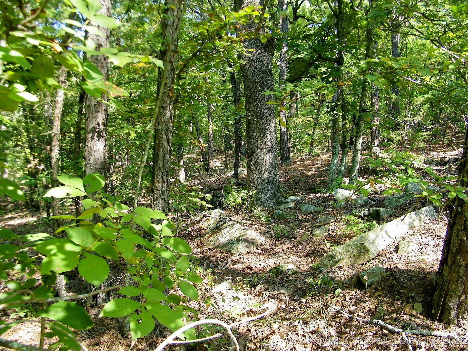 901 Sycamore Loop Broken Bow OK 74728