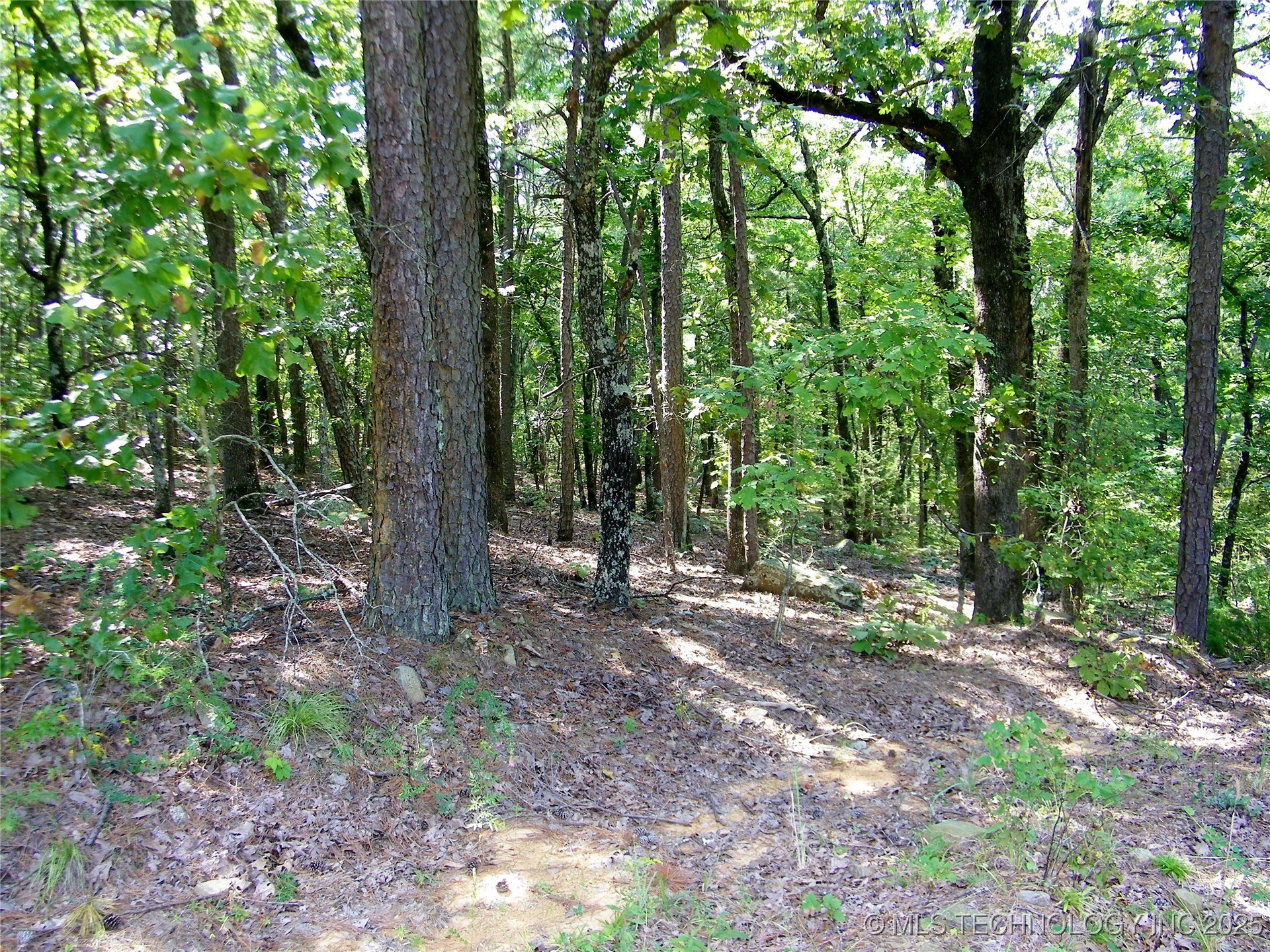 901 Sycamore Loop Broken Bow OK 74728