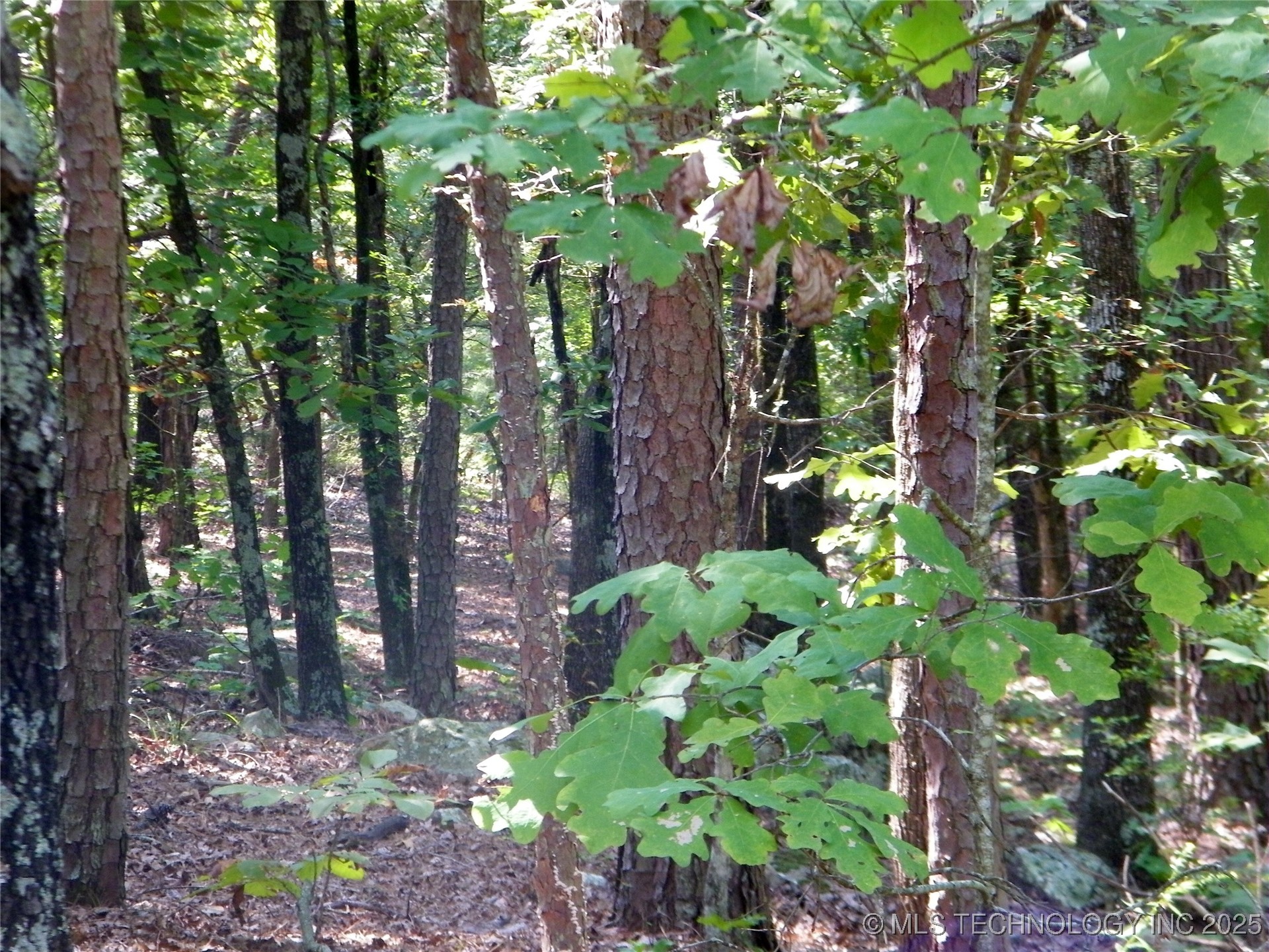 901 Sycamore Loop Broken Bow OK 74728