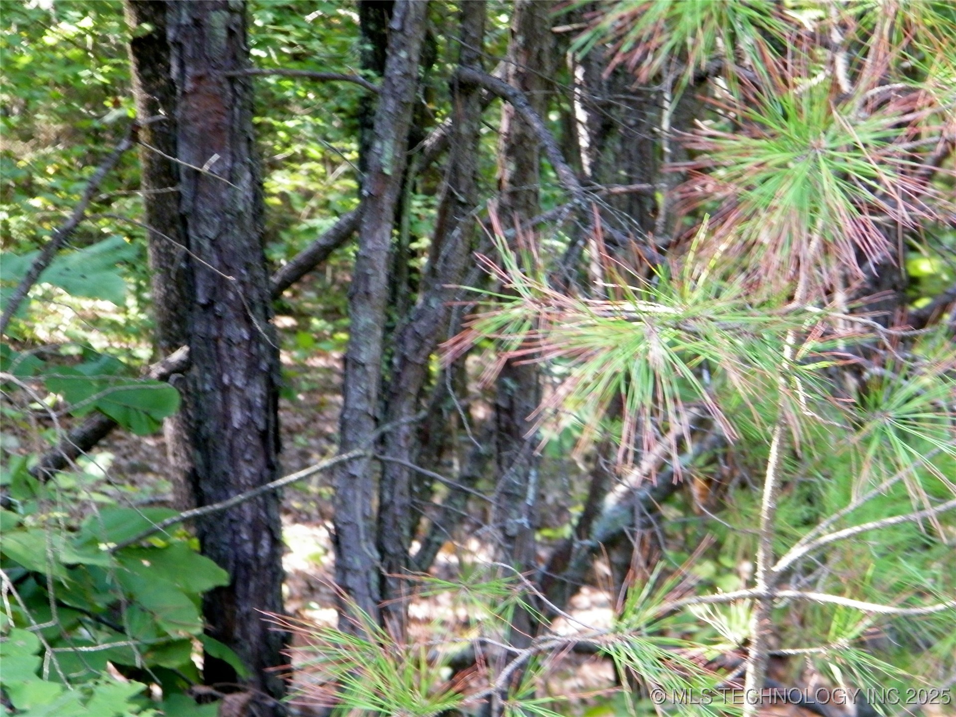 901 Sycamore Loop Broken Bow OK 74728