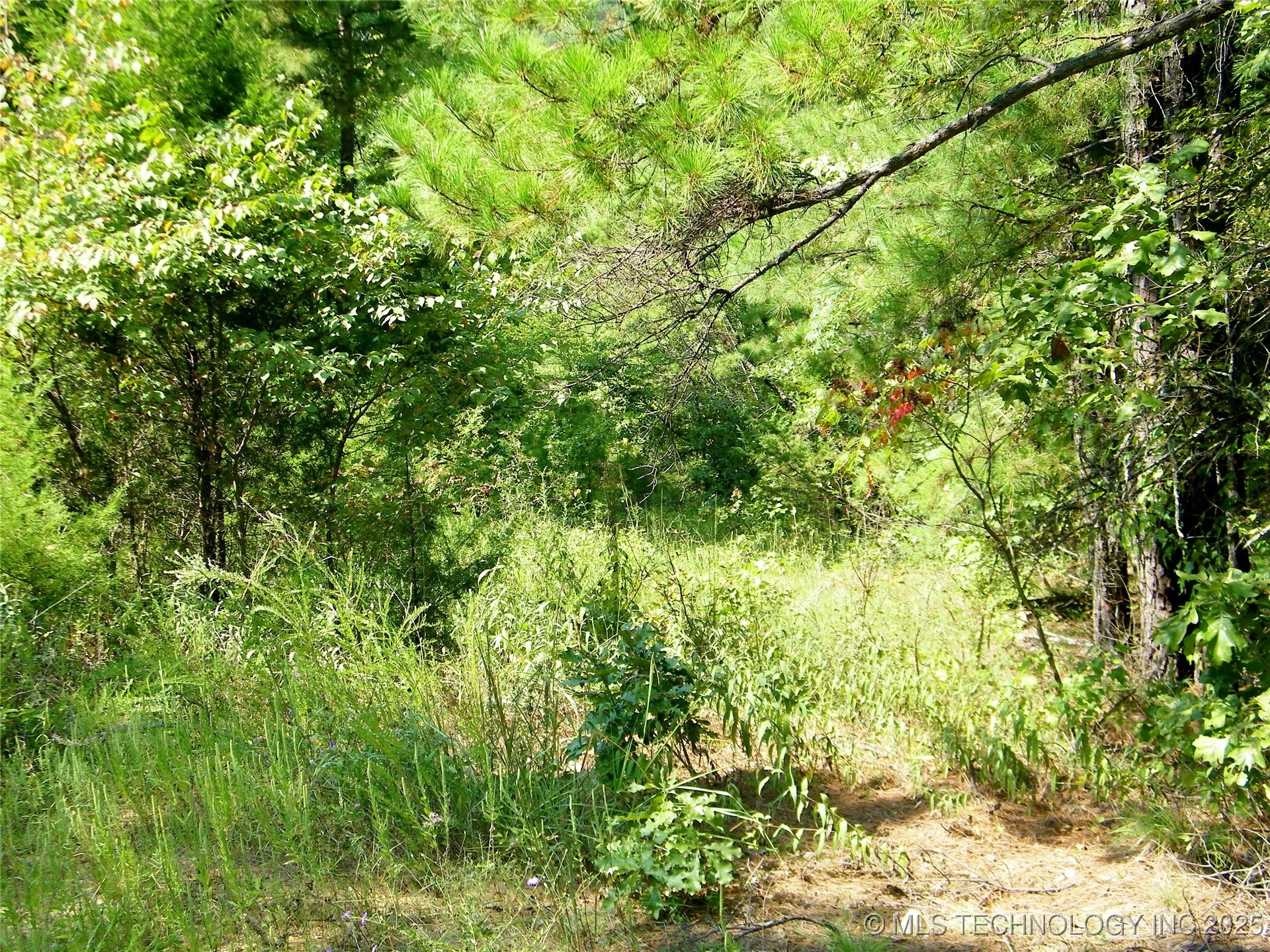 901 Sycamore Loop Broken Bow OK 74728