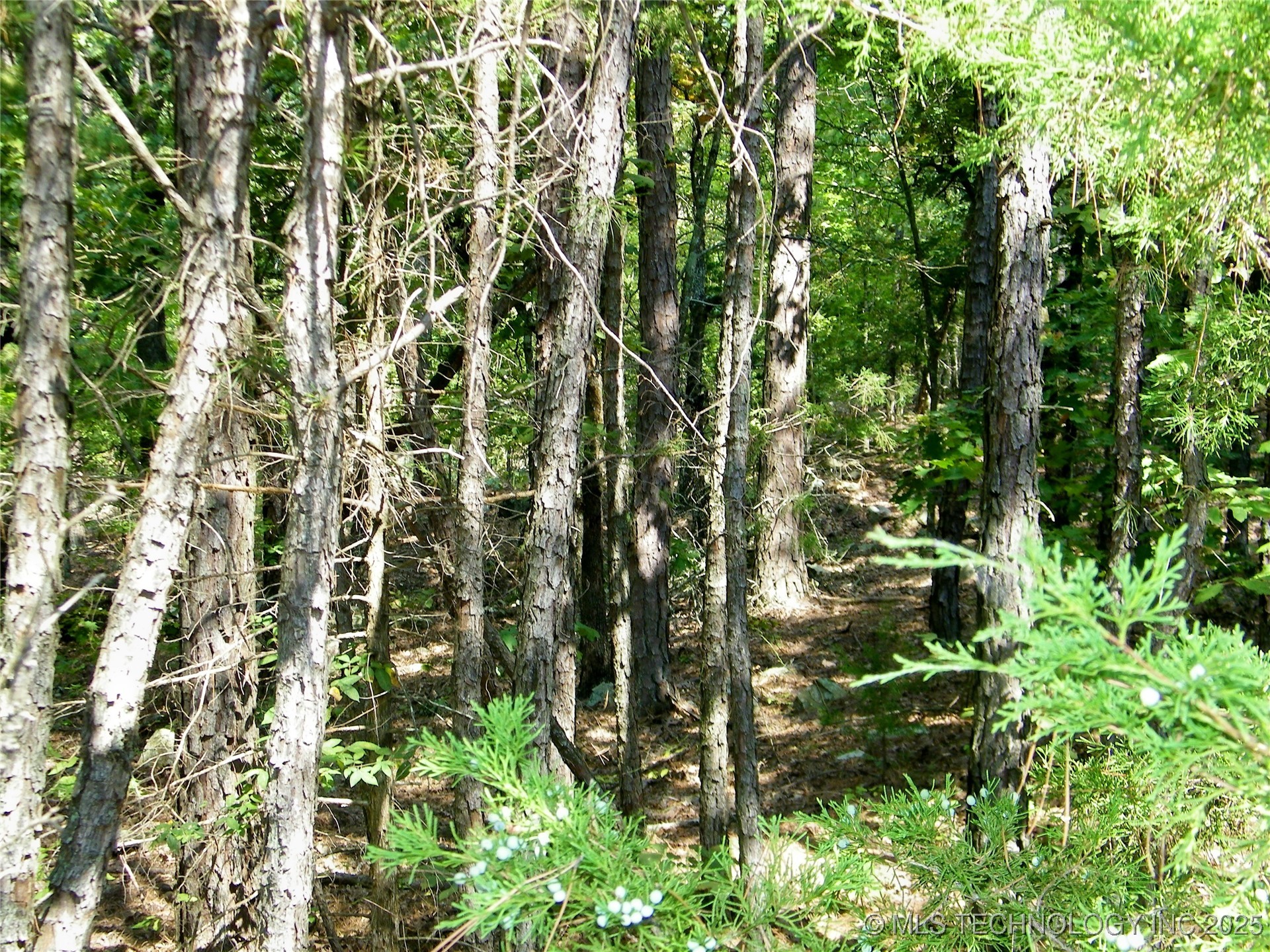 901 Sycamore Loop Broken Bow OK 74728