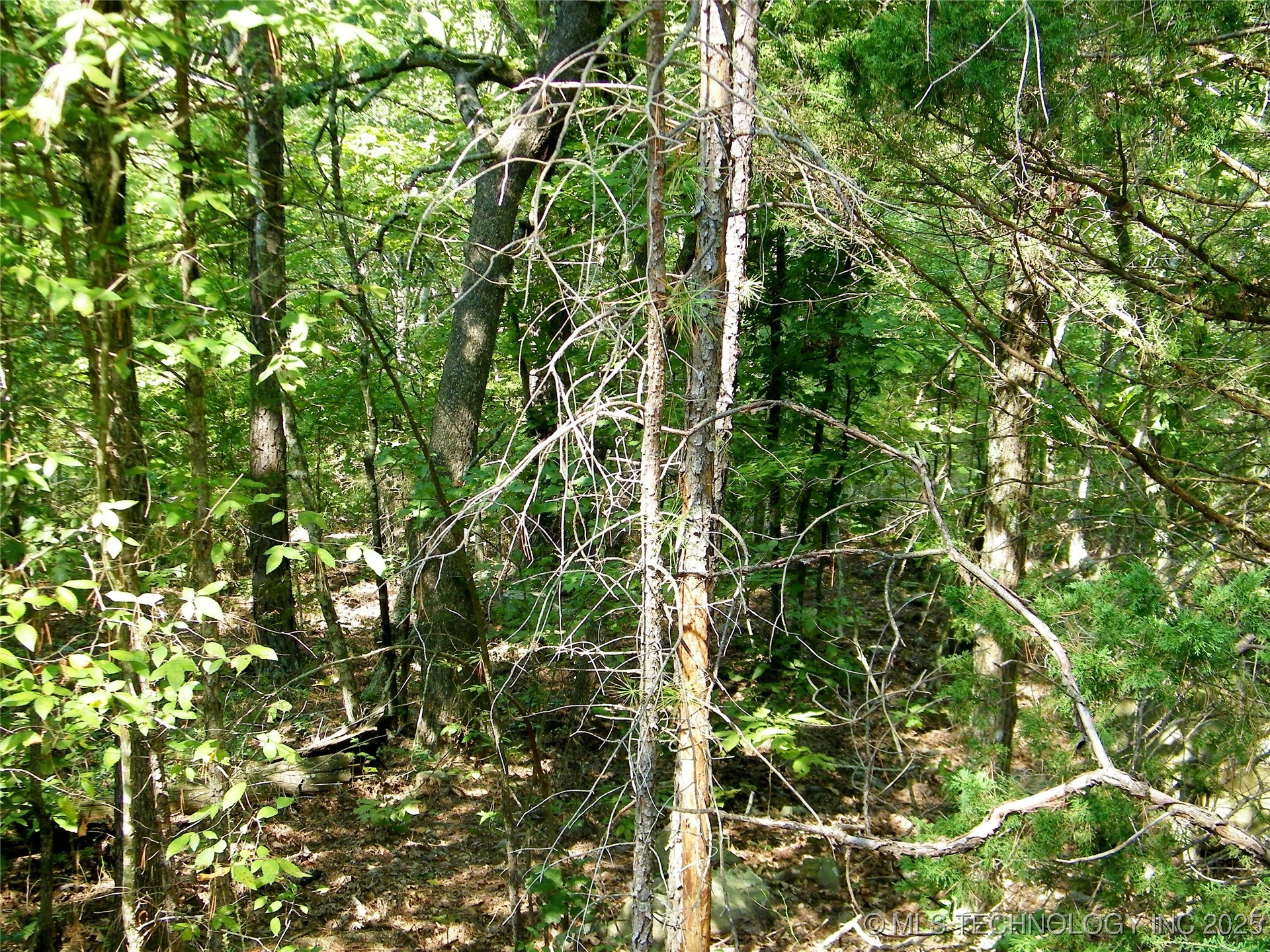 901 Sycamore Loop Broken Bow OK 74728