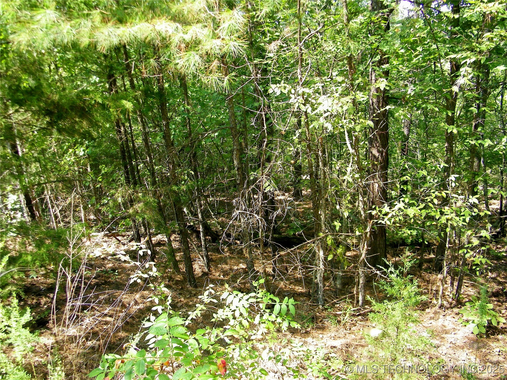 901 Sycamore Loop Broken Bow OK 74728