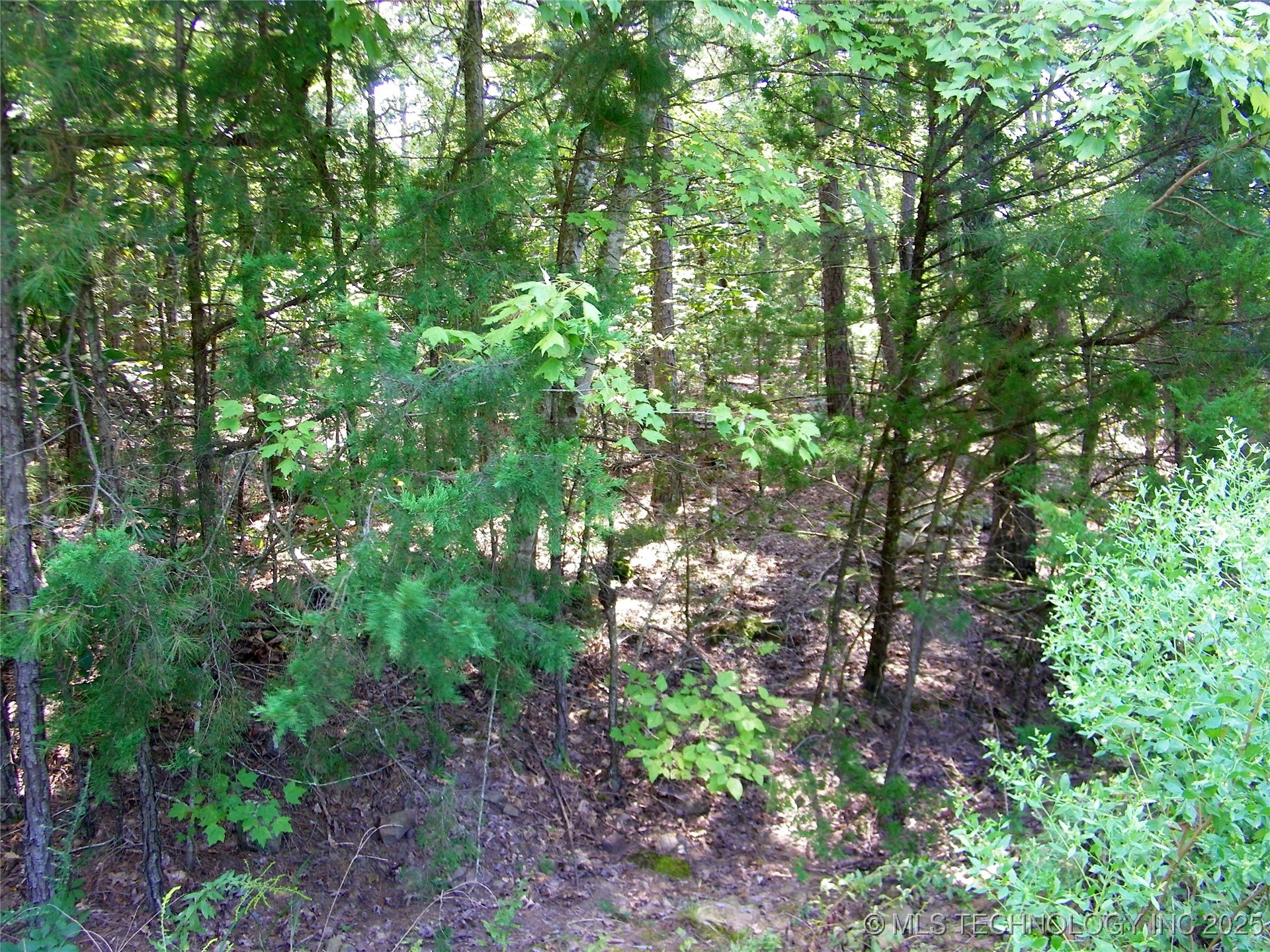 901 Sycamore Loop Broken Bow OK 74728