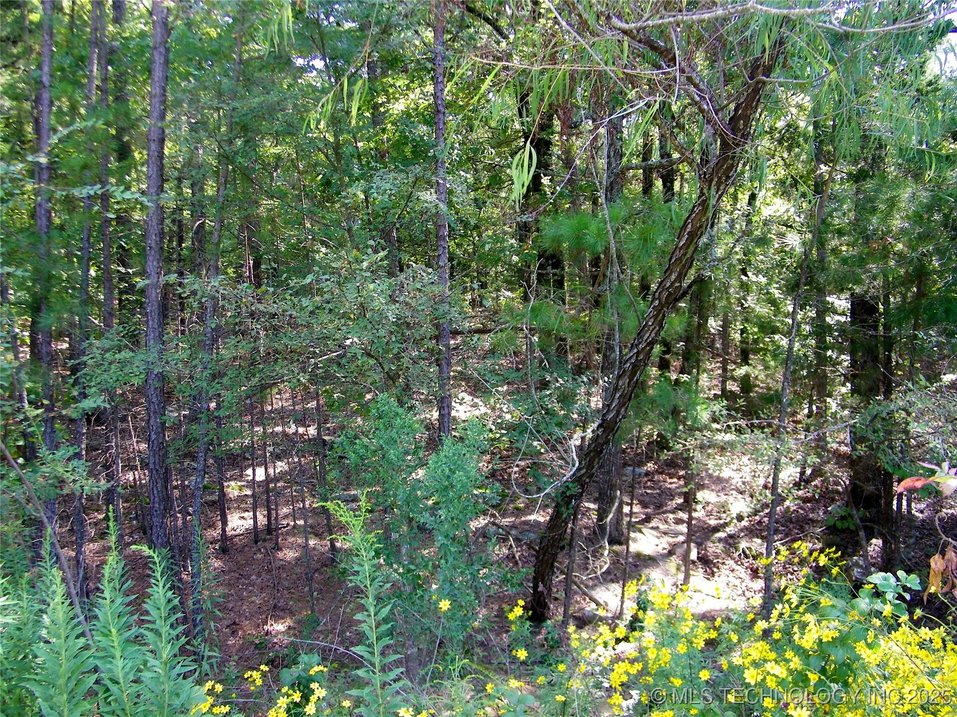 901 Sycamore Loop Broken Bow OK 74728